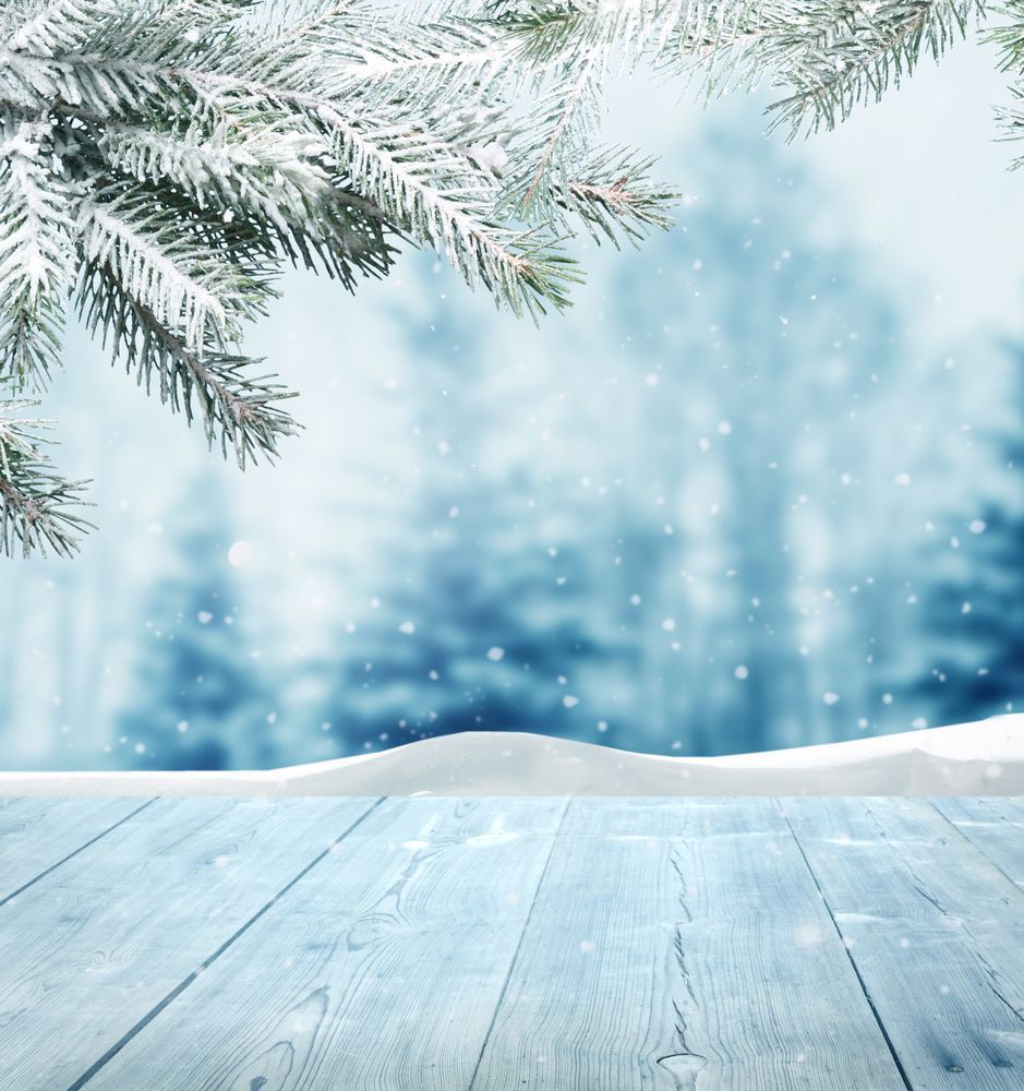 Snowy Photography to Set Your Christmas Spirit. Winter backdrops, Christmas photography backdrops, Winter background