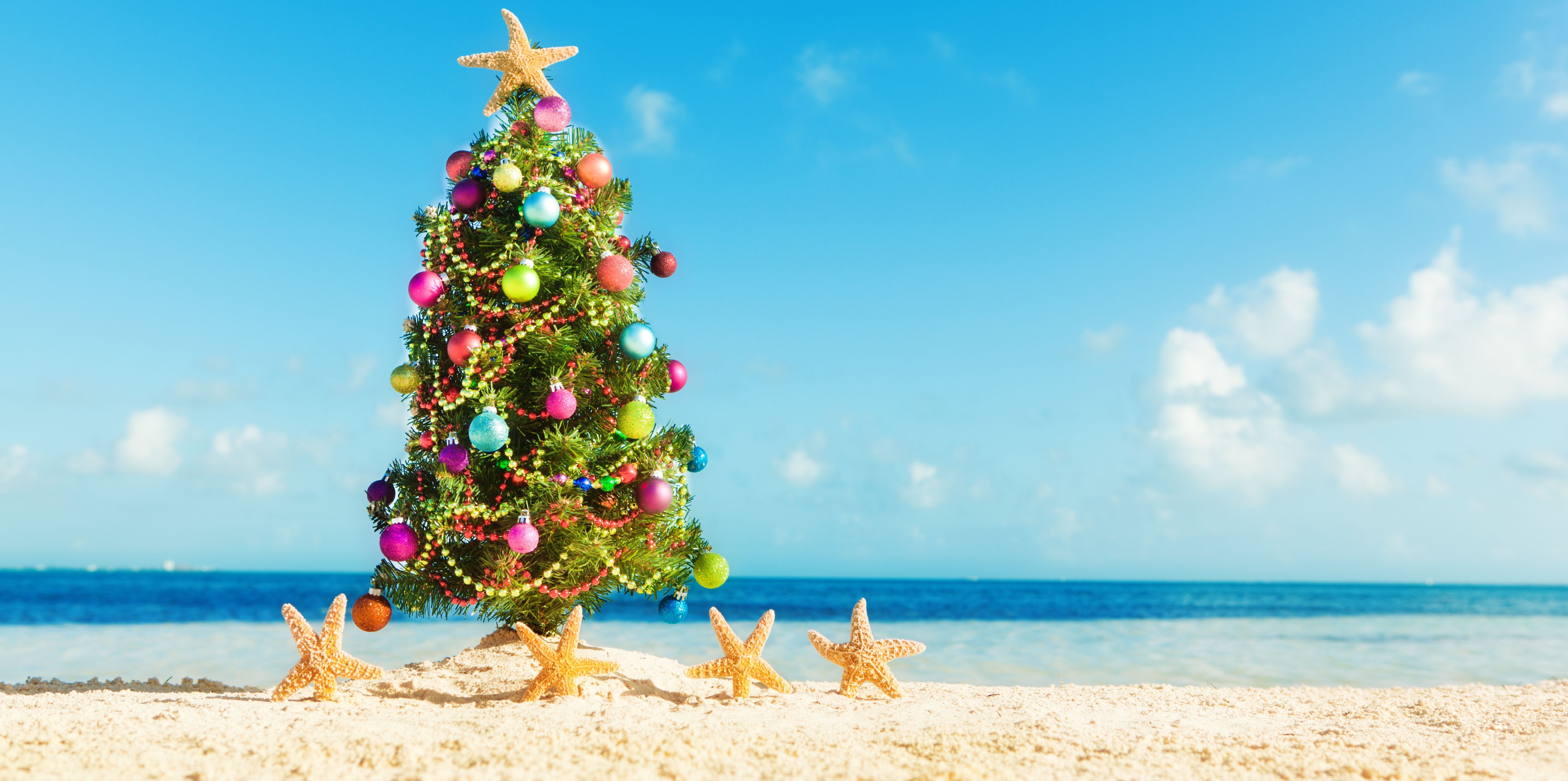 Christmas Beach Tree Wallpapers - Wallpaper Cave.