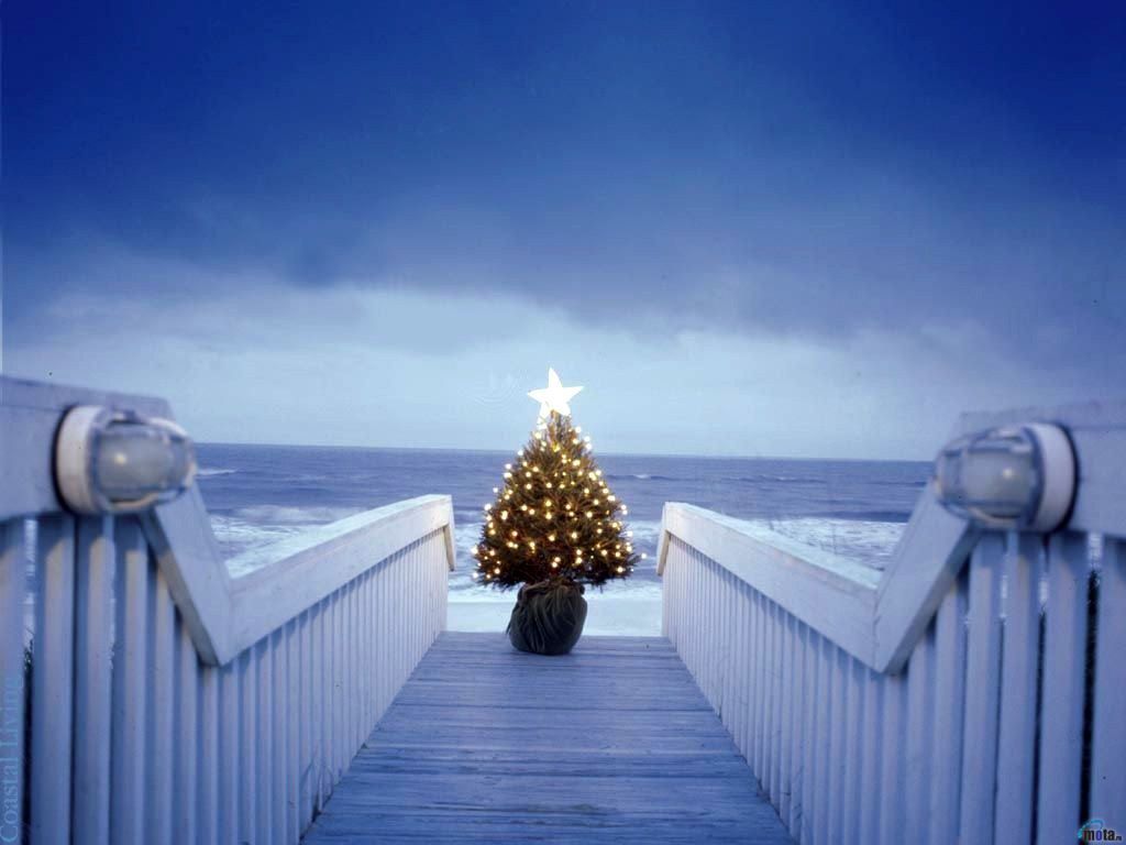 6 Christmas Wallpaper Free Beautiful Christmas Tree Lights (1024×768). Coastal Christmas Tree, Beach Christmas, Beautiful Christmas Trees