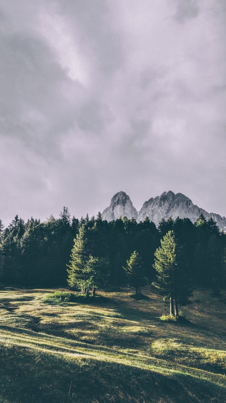 Mountains, trees, Peitlerkofel, Dolomites, Italy, 720x1280 wallpaper. Mountain wallpaper, Mountains, Pretty wallpaper