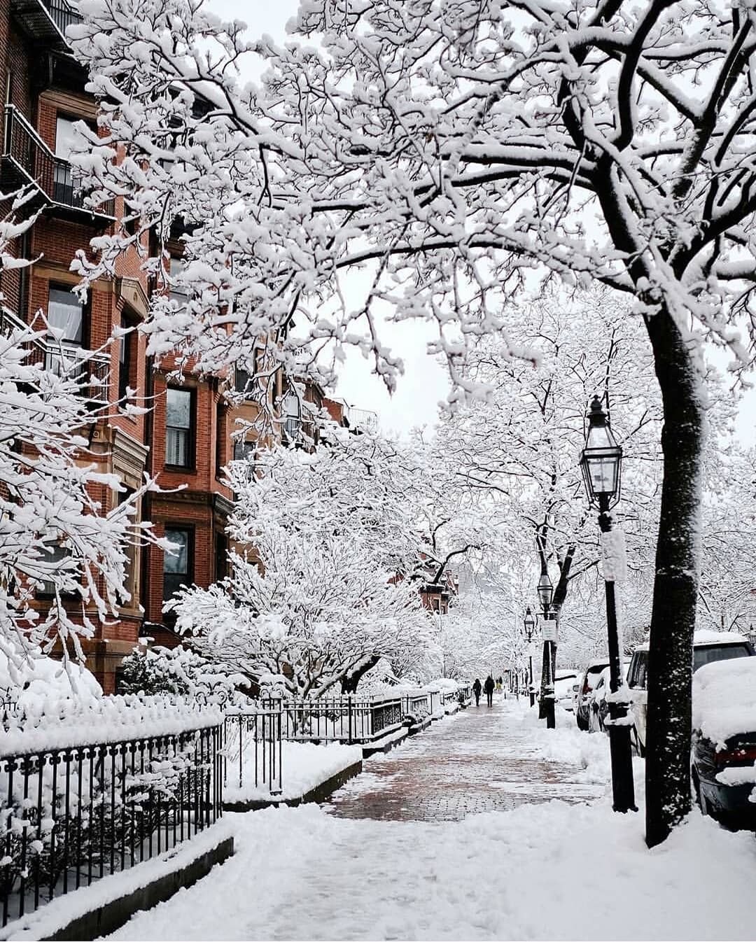 Winter portrait ❄️ Boston, Massachusetts, United States. Photo #nature. Winter scenery, Winter image, Winter wallpaper