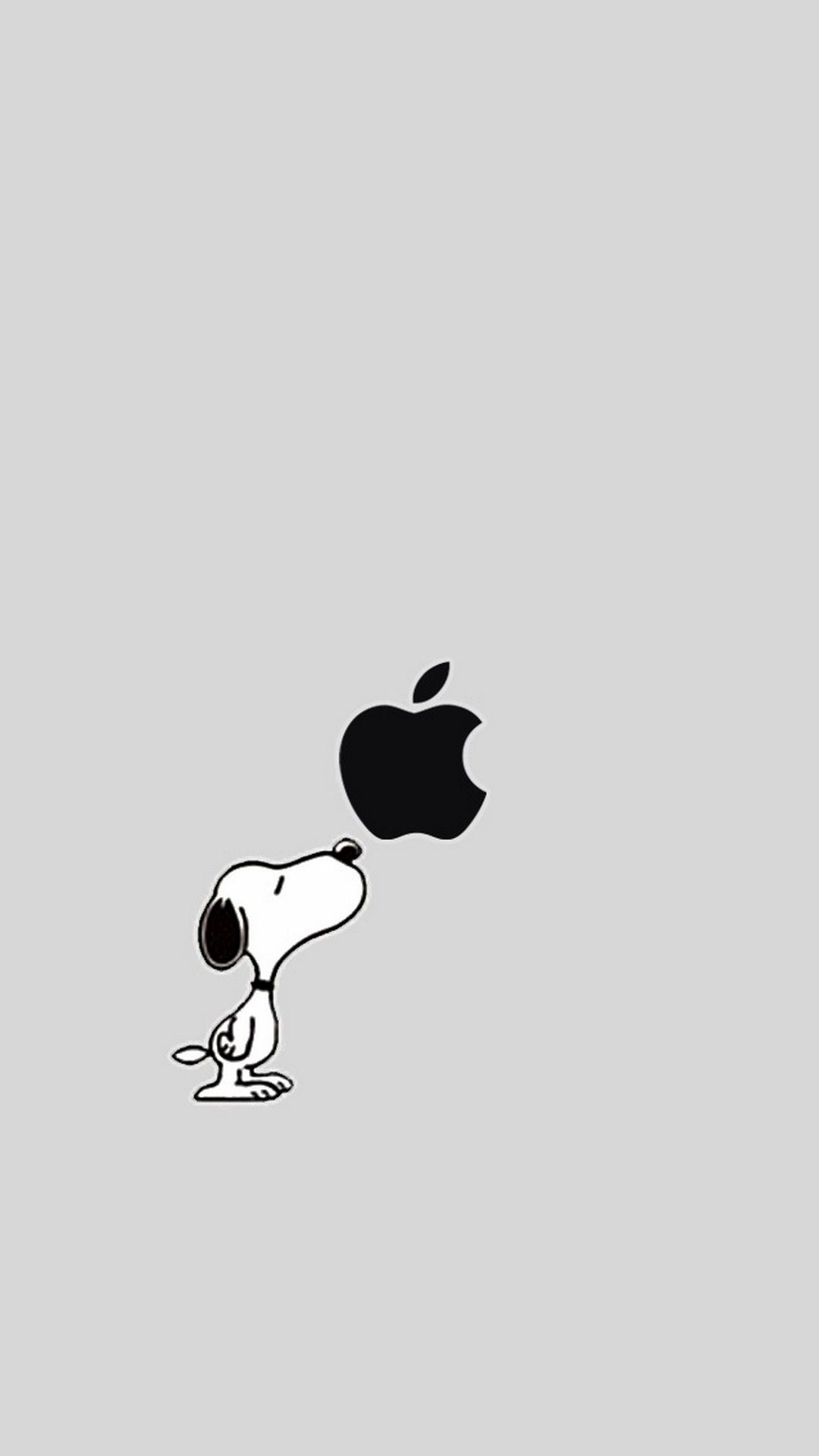 Cute Puppy iPhone Wallpaper Cute Wallpaper
