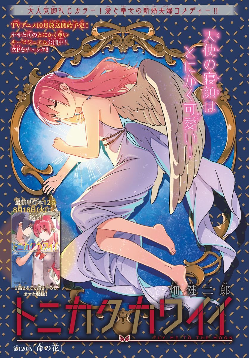 Art Tonikaku Kawaii 120 Color Page
