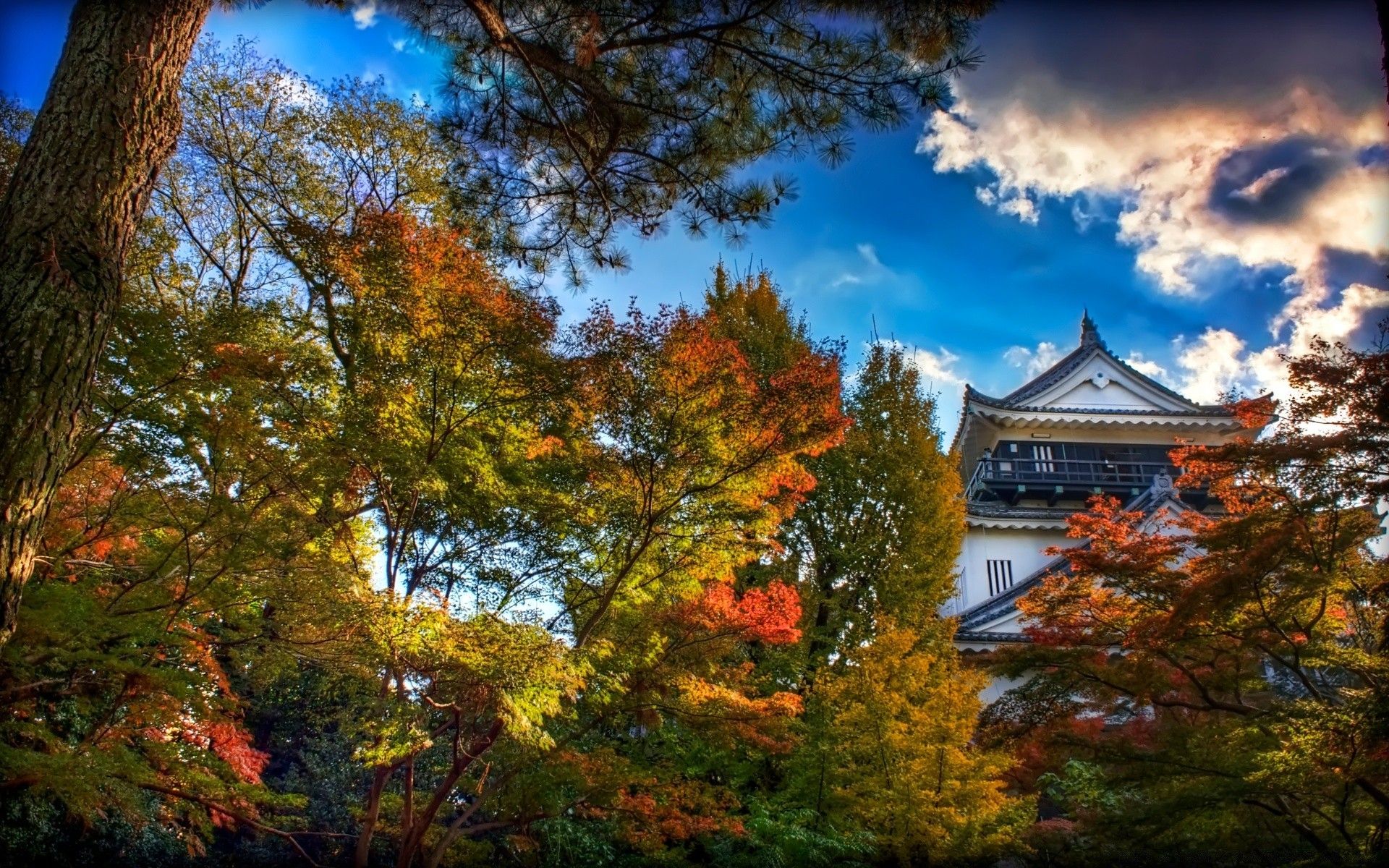 Japanese Castle, Autumn