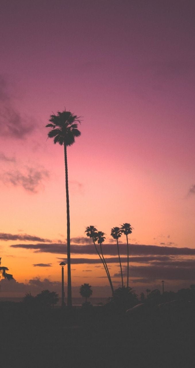 ❈aesthetically pleasing background❈. California sunset, Scenery, iPhone wallpaper