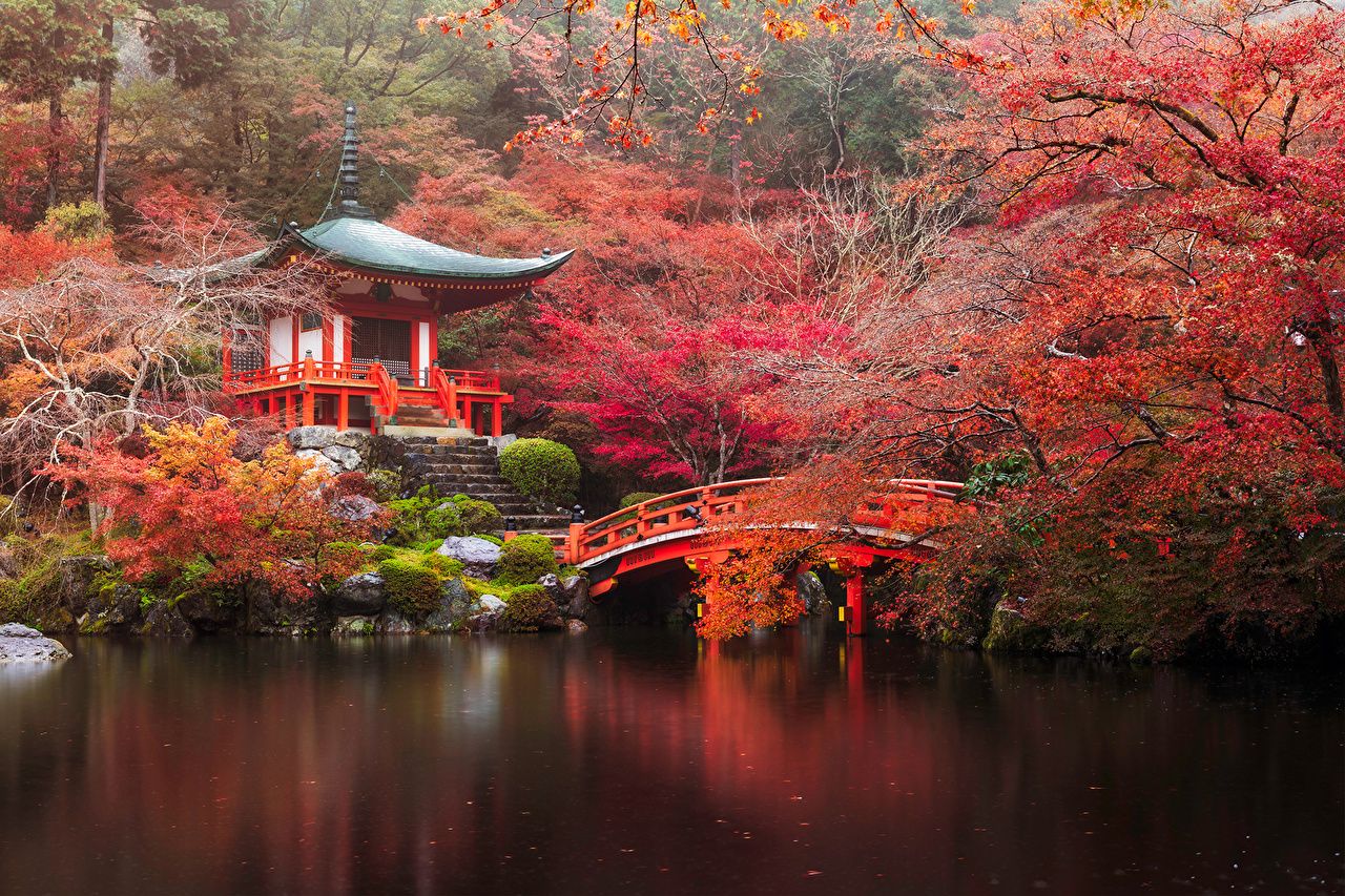 Picture Kyoto Japan Autumn Nature Bridges park Pond Pagodas Trees
