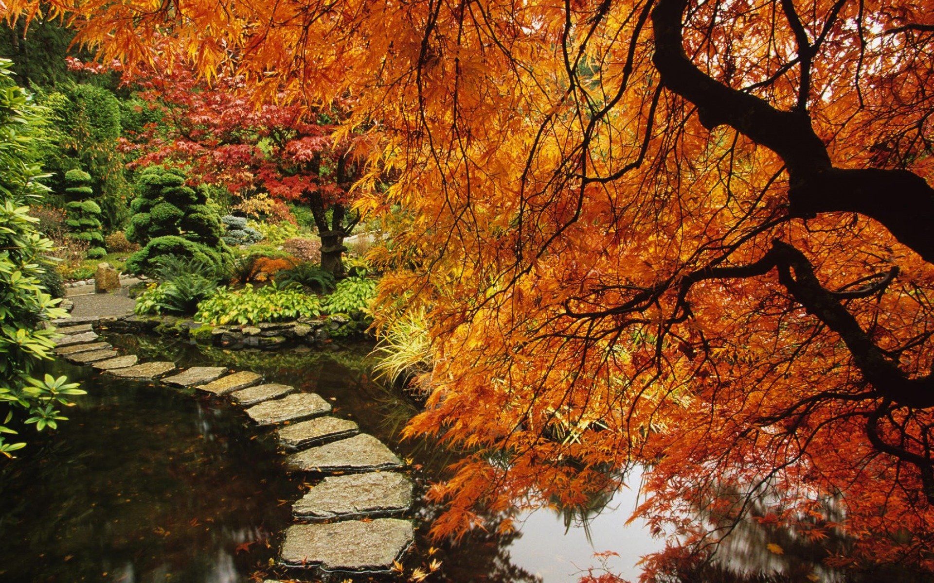 Best Japanese Garden Wallpaper Id Garden Vancouver Autumn Wallpaper & Background Download
