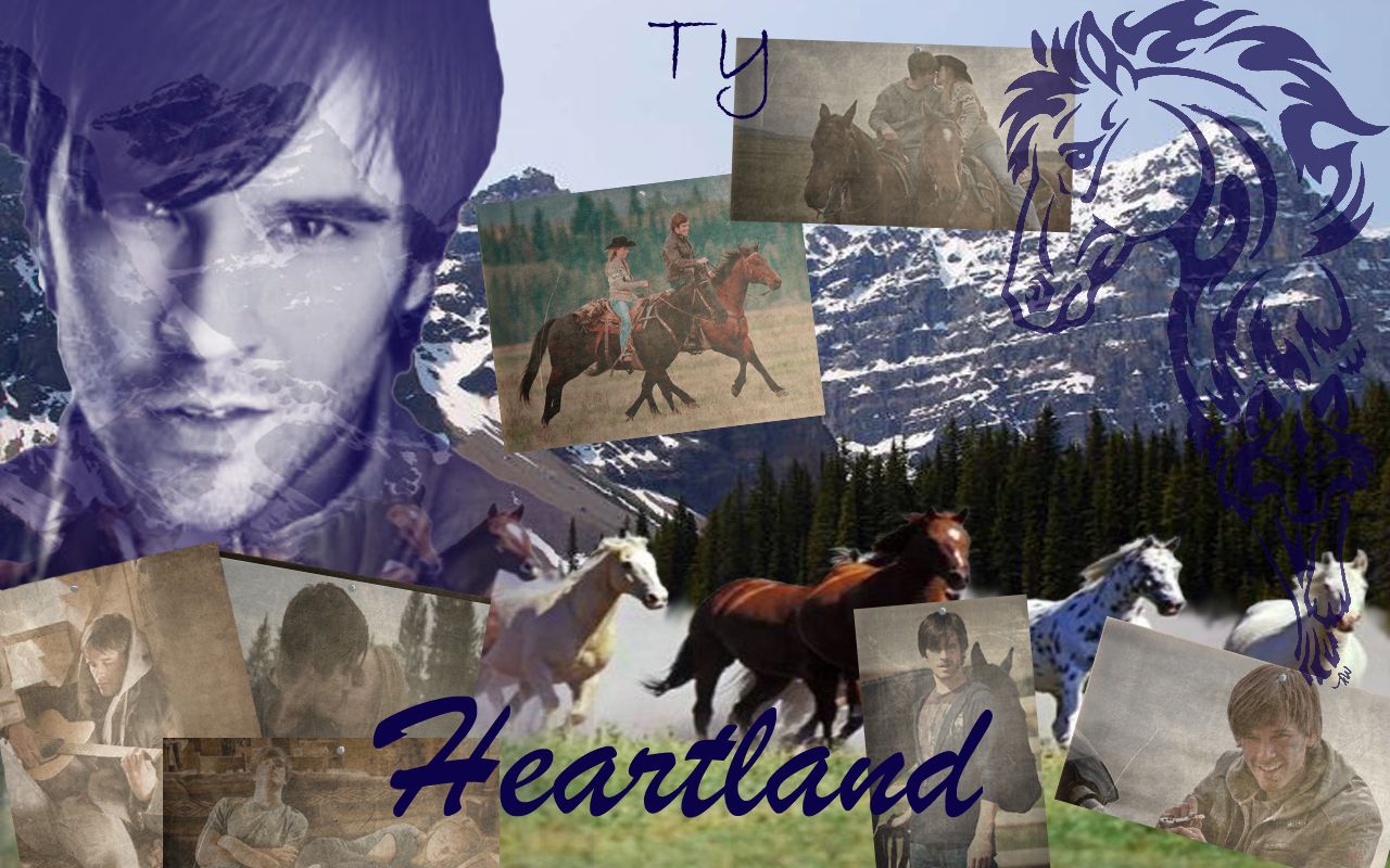 Heartland Background. Heartland Ranch Wallpaper, Heartland Background and Heartland Wallpaper
