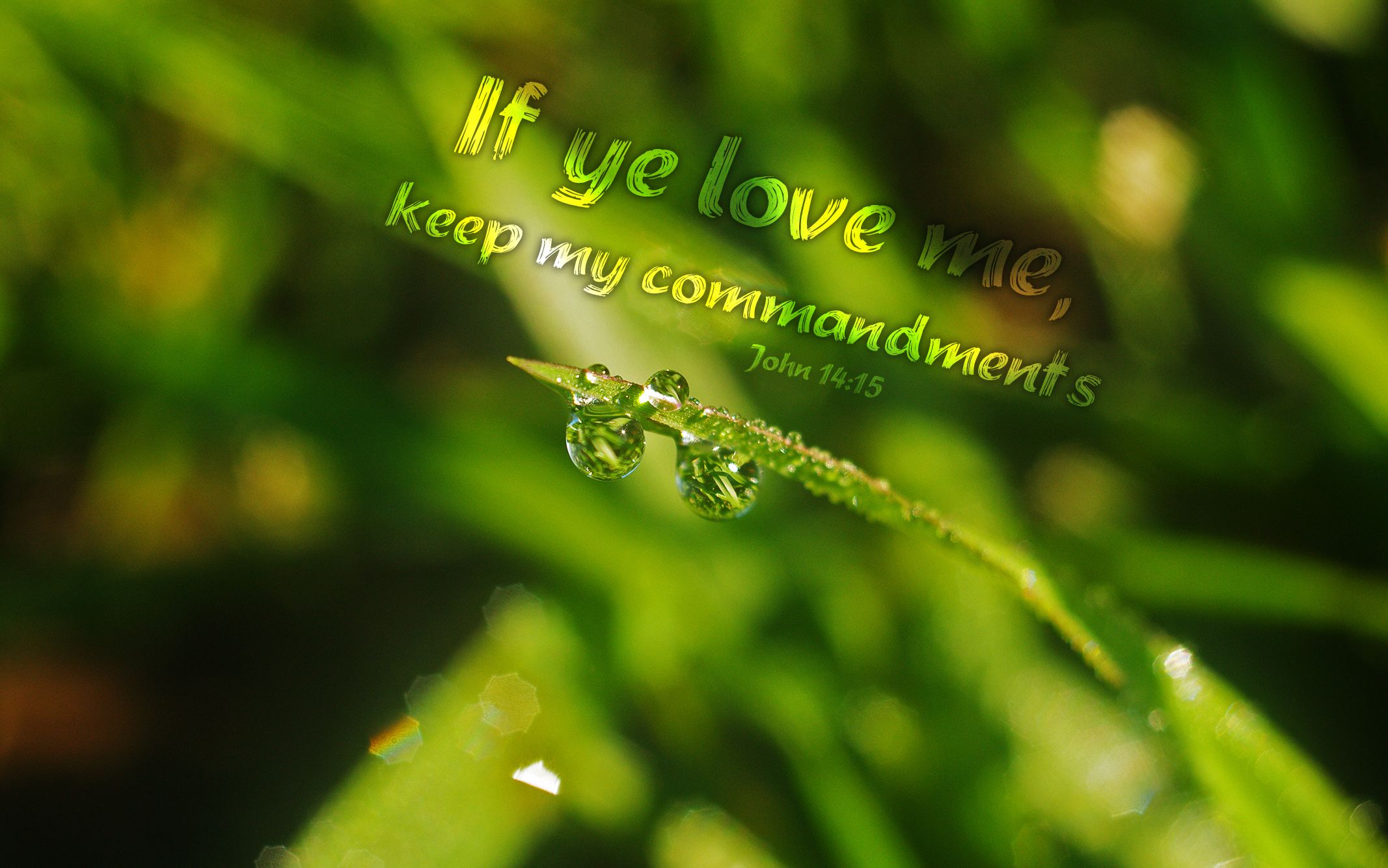 John 14:15 Nature & Bible Desktop Background / Wallpaper