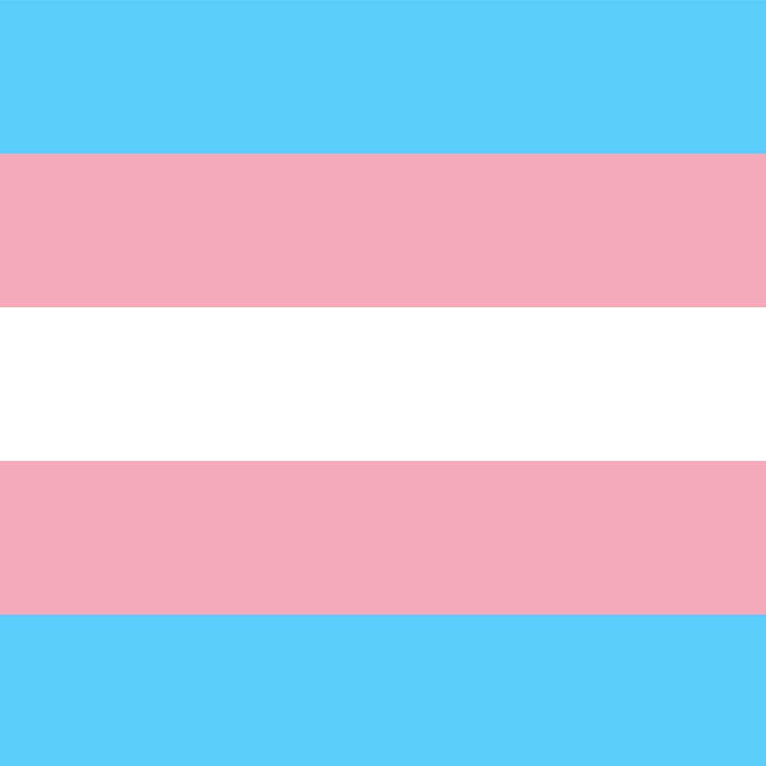 Transgender Pride Flag Comforters
