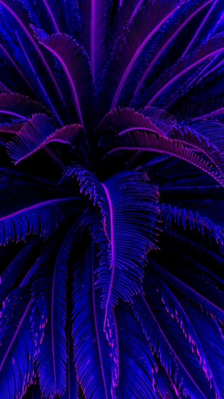 blue, purple, electric blue, violet, fractal art, plant, iphone wallpaper. Blue wallpaper iphone, Black and blue wallpaper, Purple wallpaper