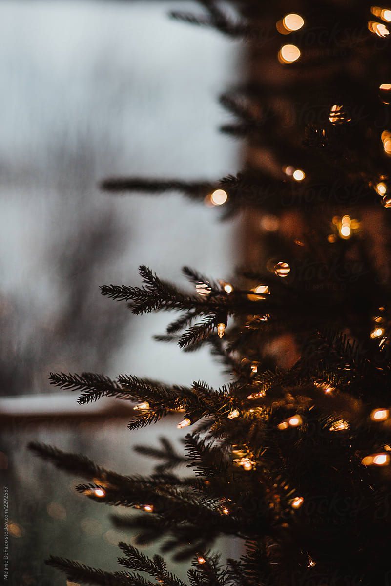 Christmas tree by Melanie DeFazio for Stocksy United. Christmas photography, Wallpaper iphone christmas, Christmas tree wallpaper