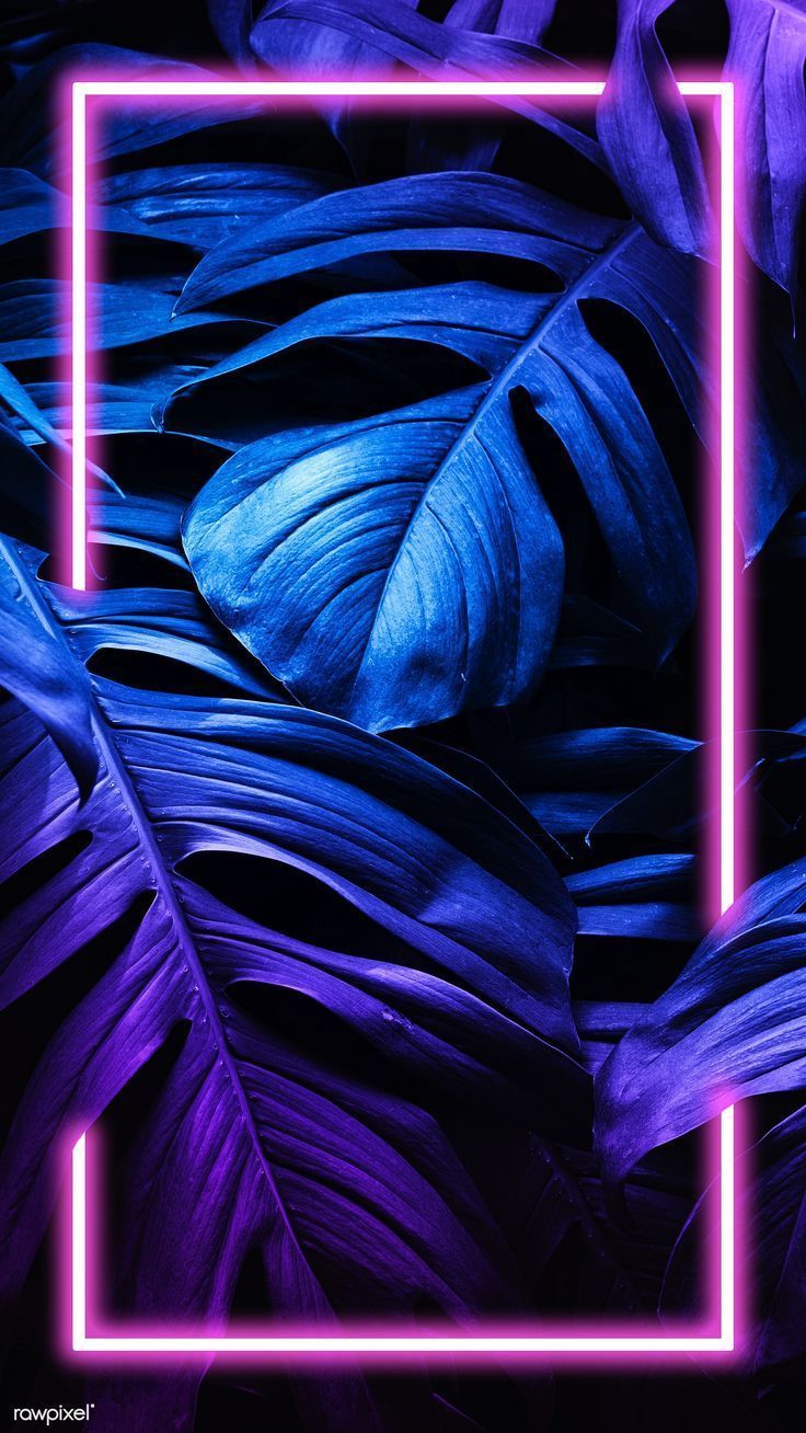 Blue, Purple, Light, Violet, Electric blue, Plant. Neon wallpaper, Screen wallpaper, Aesthetic iphone wallpaper