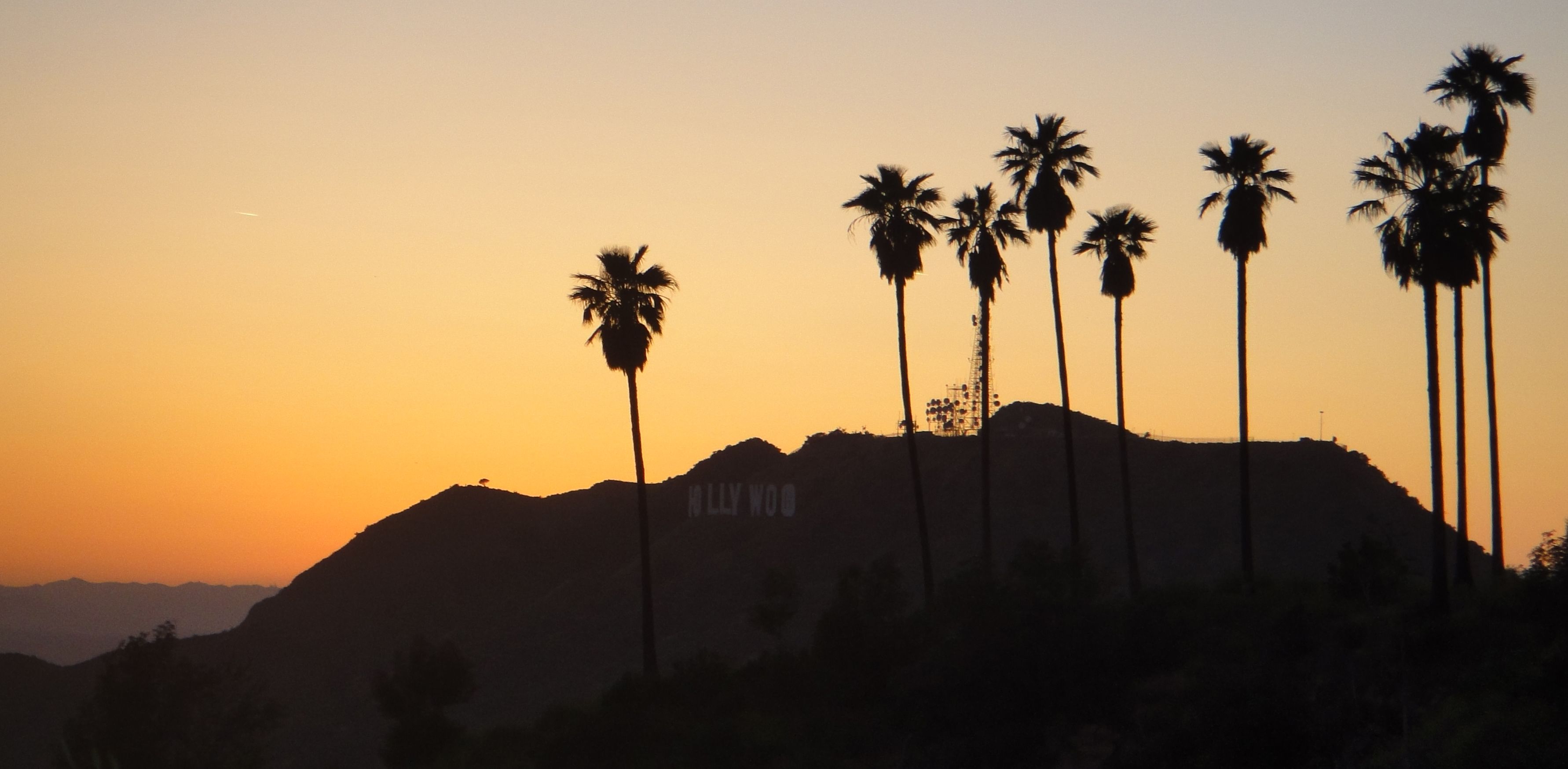 Hollywood Hills Wallpaper