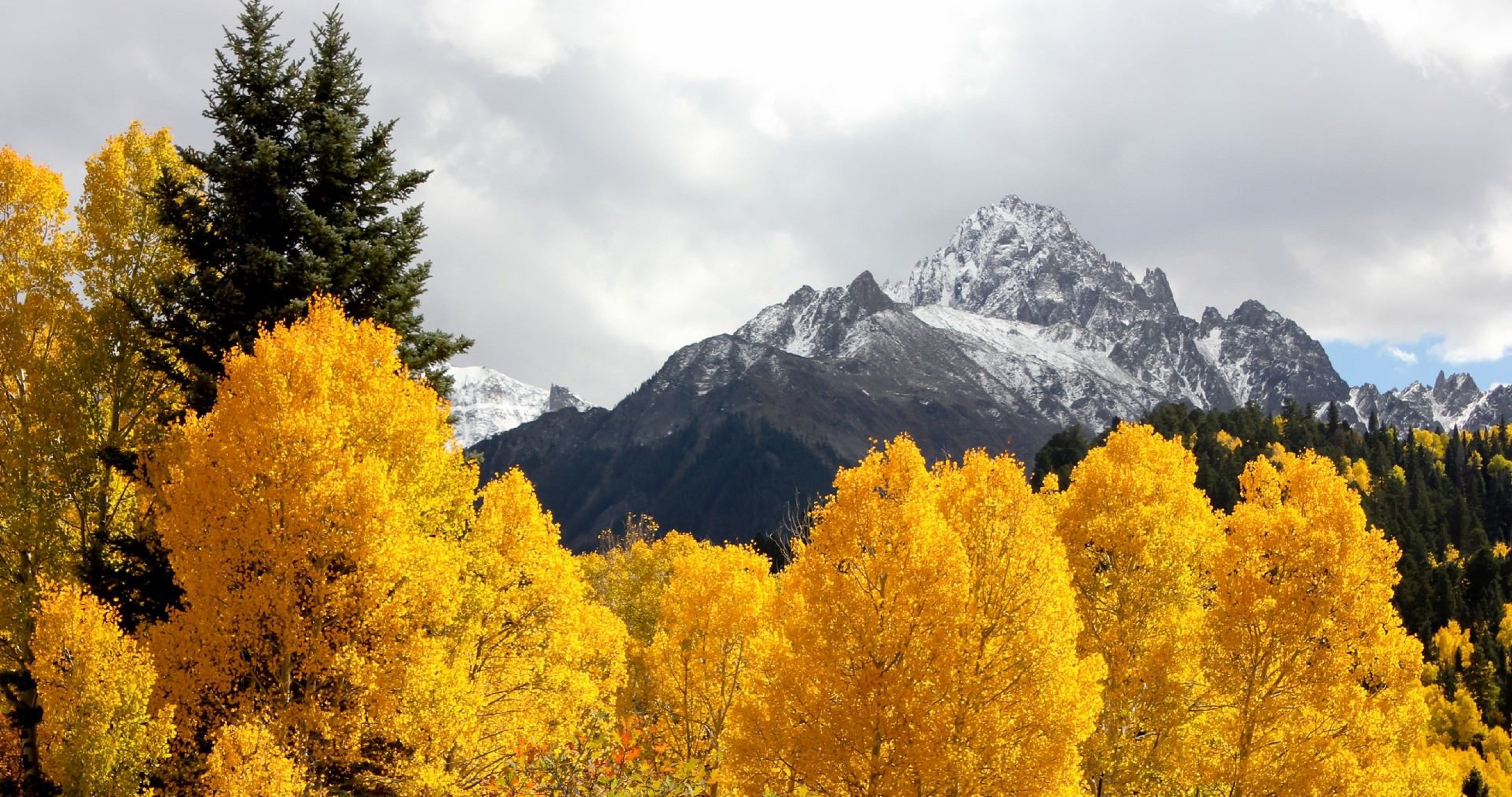 yellow trees in mountains wallpaper 4k ultra HD wallpaper High quality walls