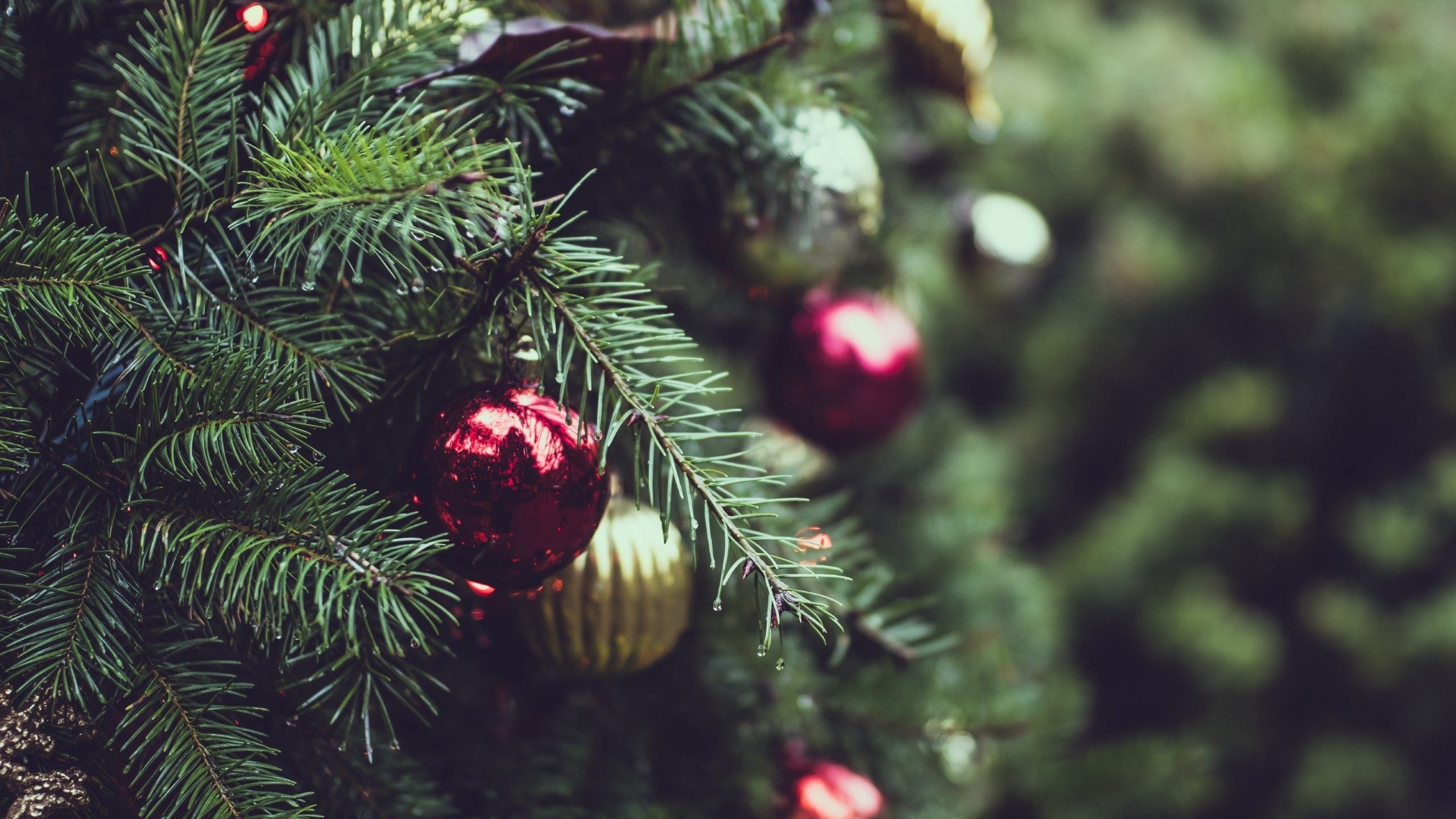 Download 2560x1440 Christmas Tree, Ornaments, Close Up, Blurred Wallpaper For IMac 27 Inch