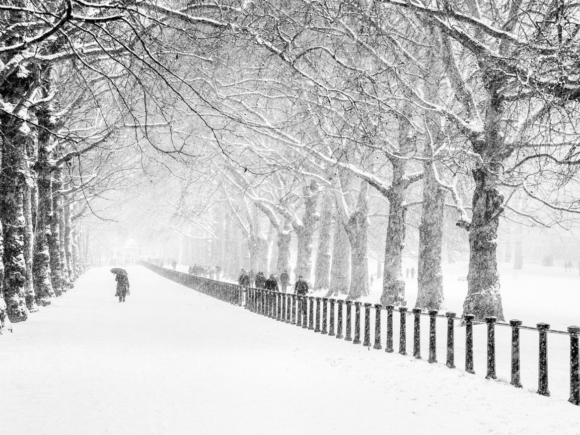 snow, people, road, city, london, winter, trees, park desktop wallpaper 3827