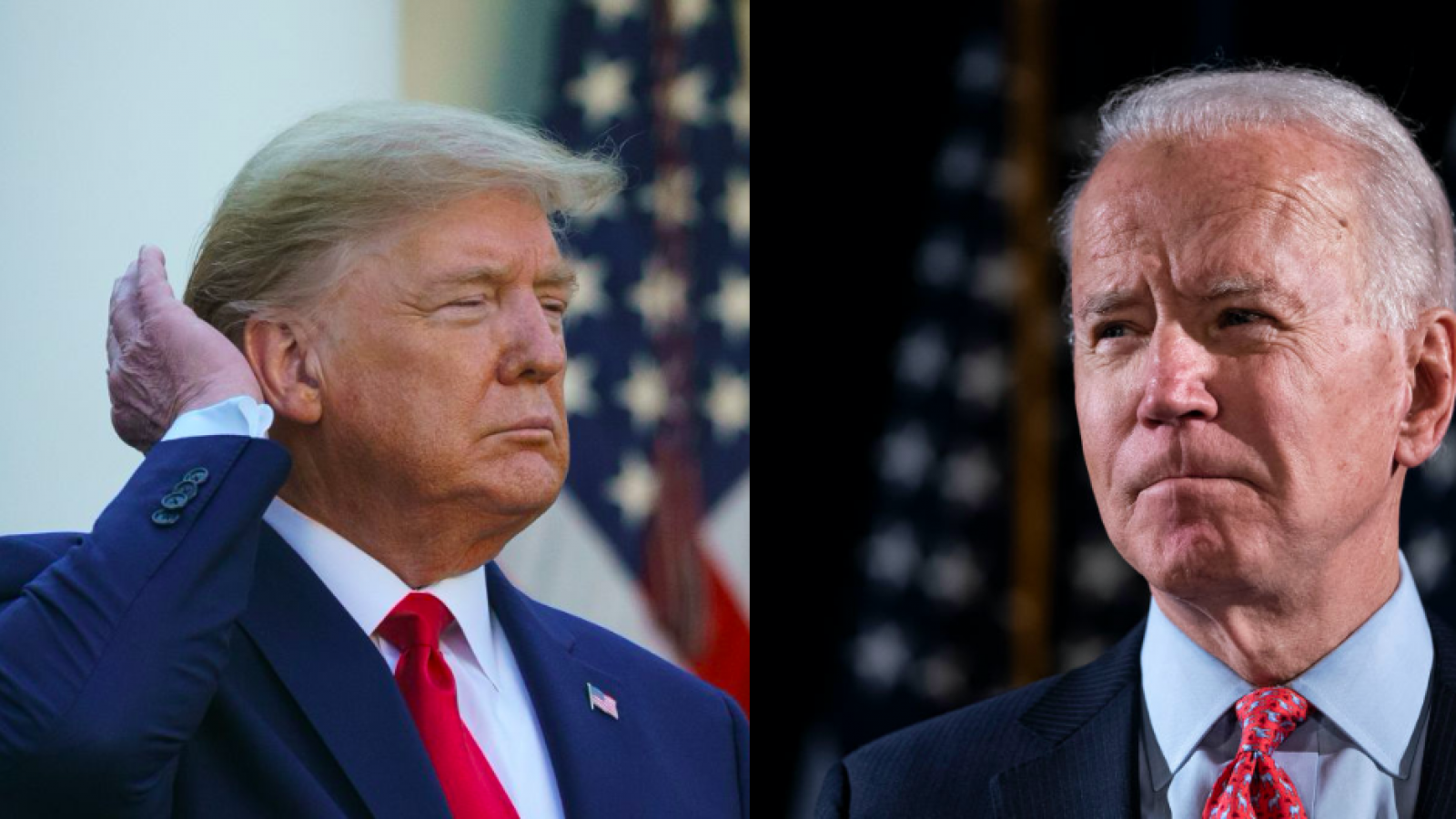 What the Polls Say About a Donald Trump vs Joe Biden Presidential Matchup