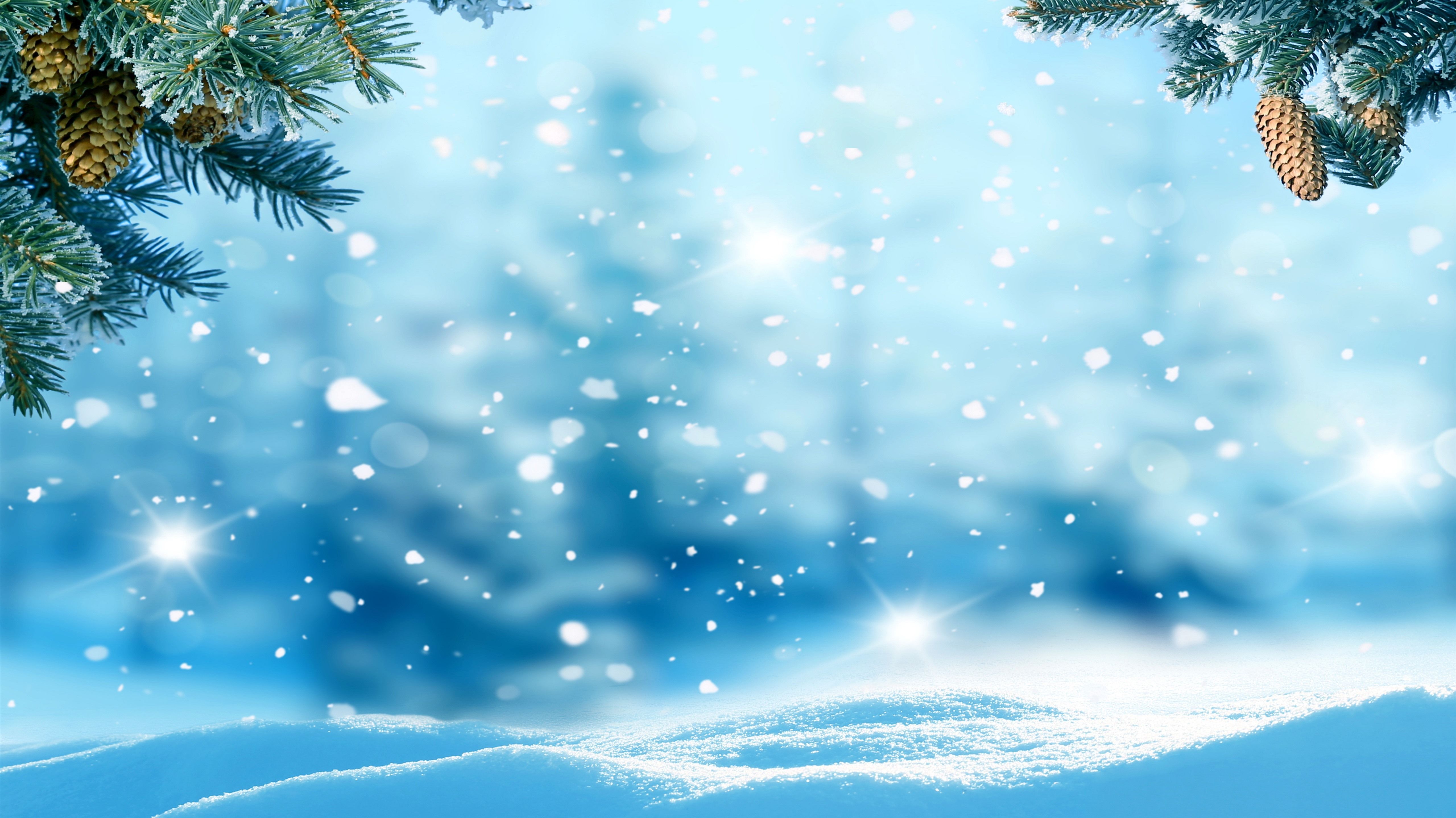 Миколай зимовий