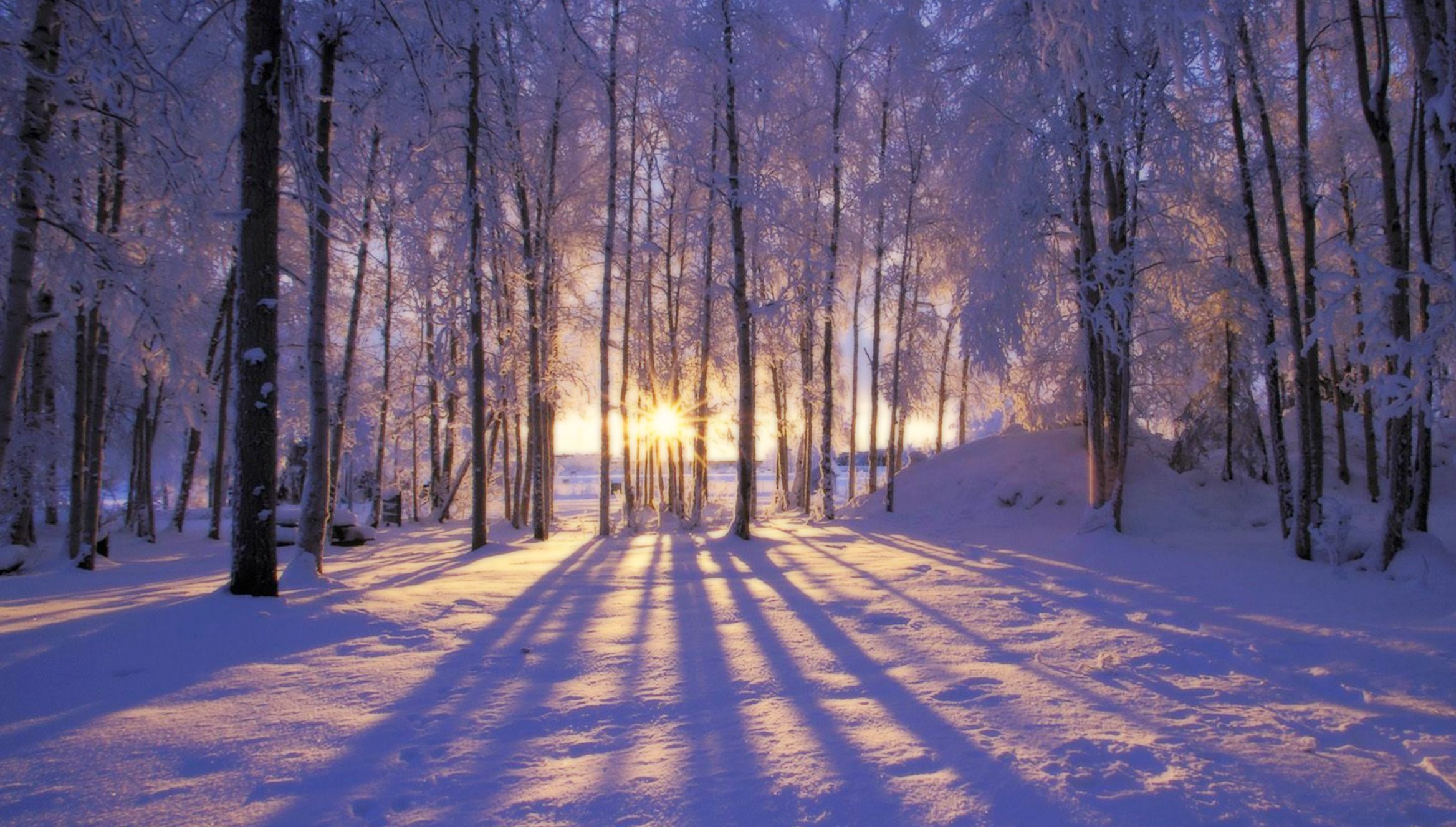 I&;ve spent enough time sorrowing with family and friends to realize many of us have experienced . Winter scenery, Winter landscape, Winter wallpaper