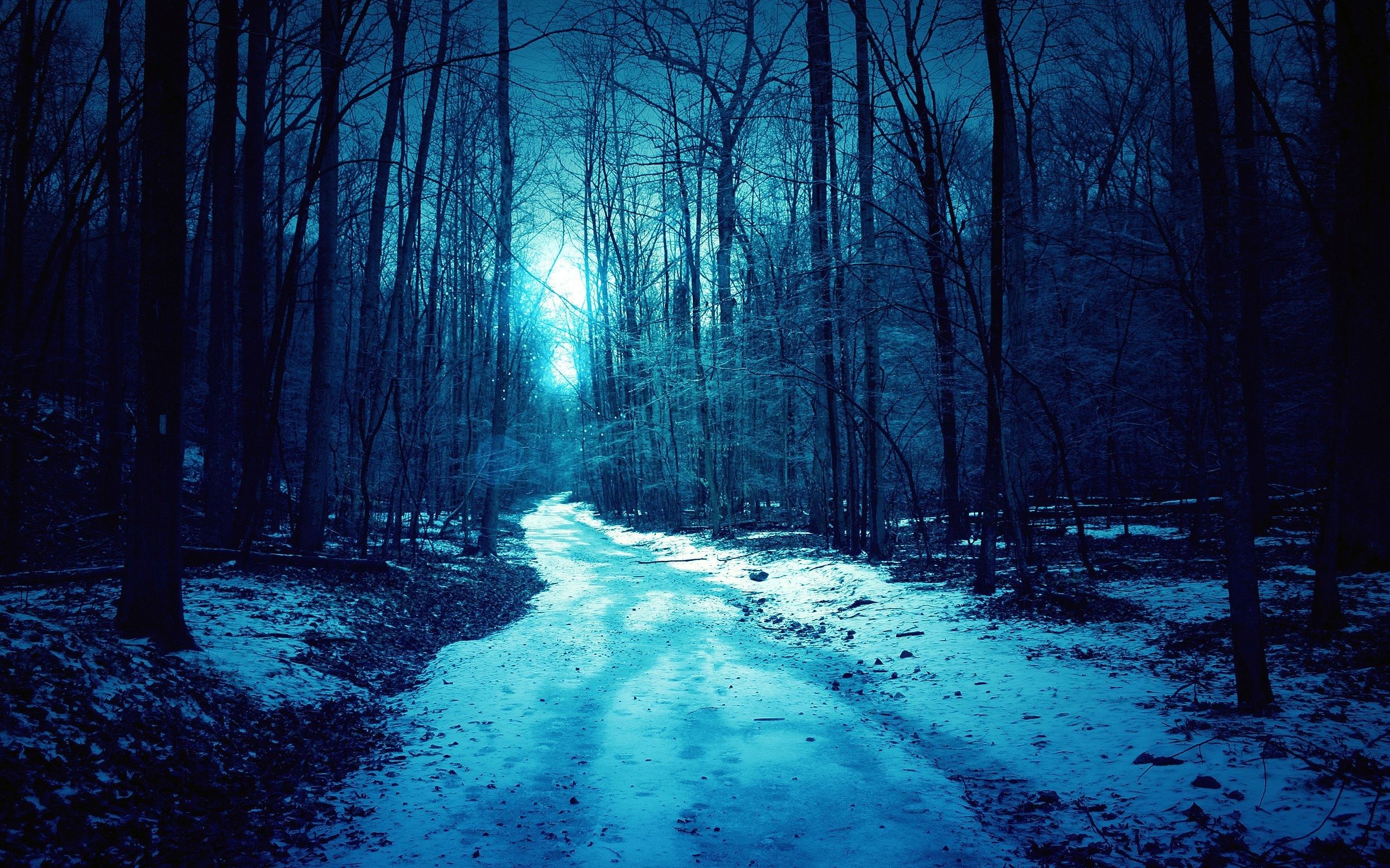 Wallpaper. Winter. photo. picture. winter, night, snow, road, silence