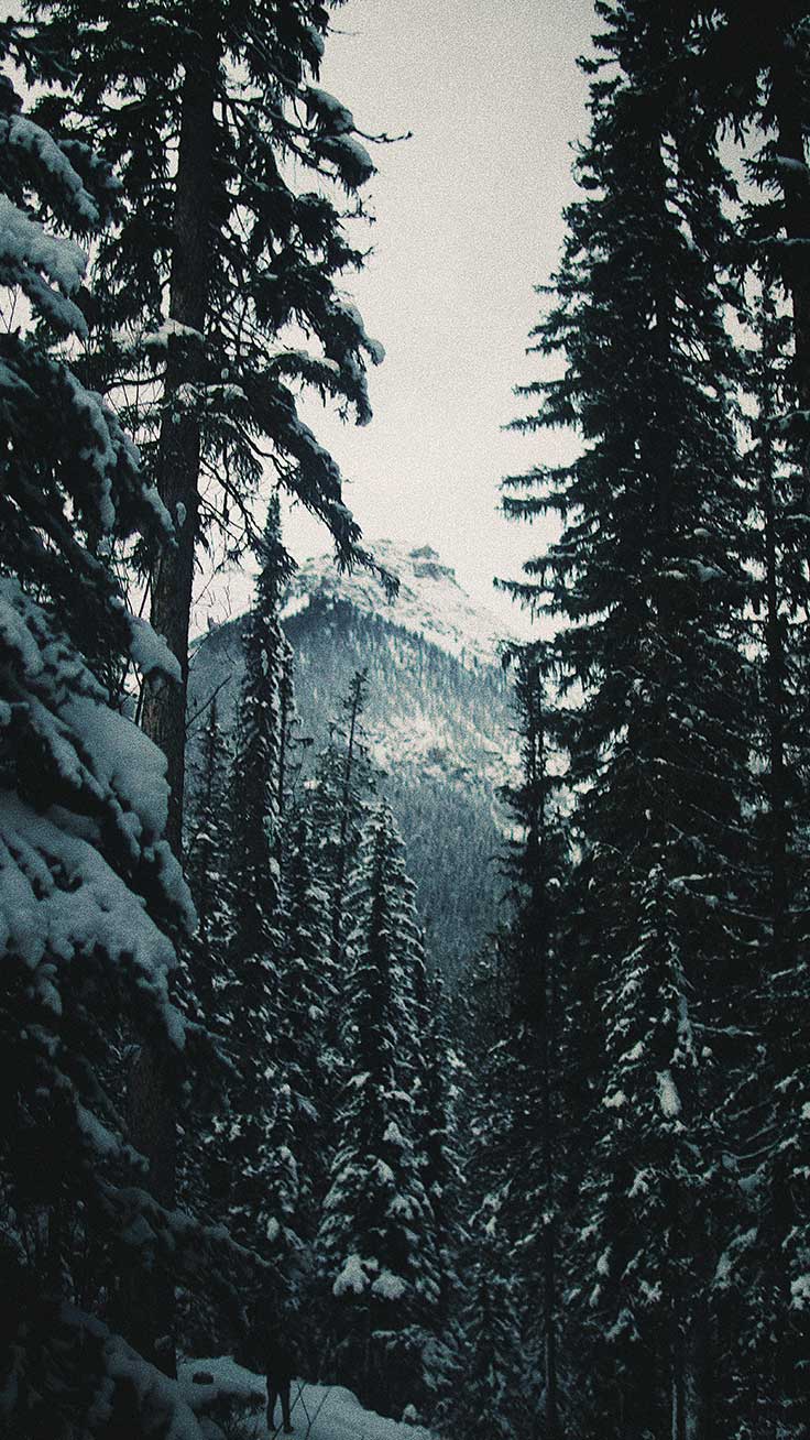13 x Winter Landscapes iPhone Wallpapers Collection