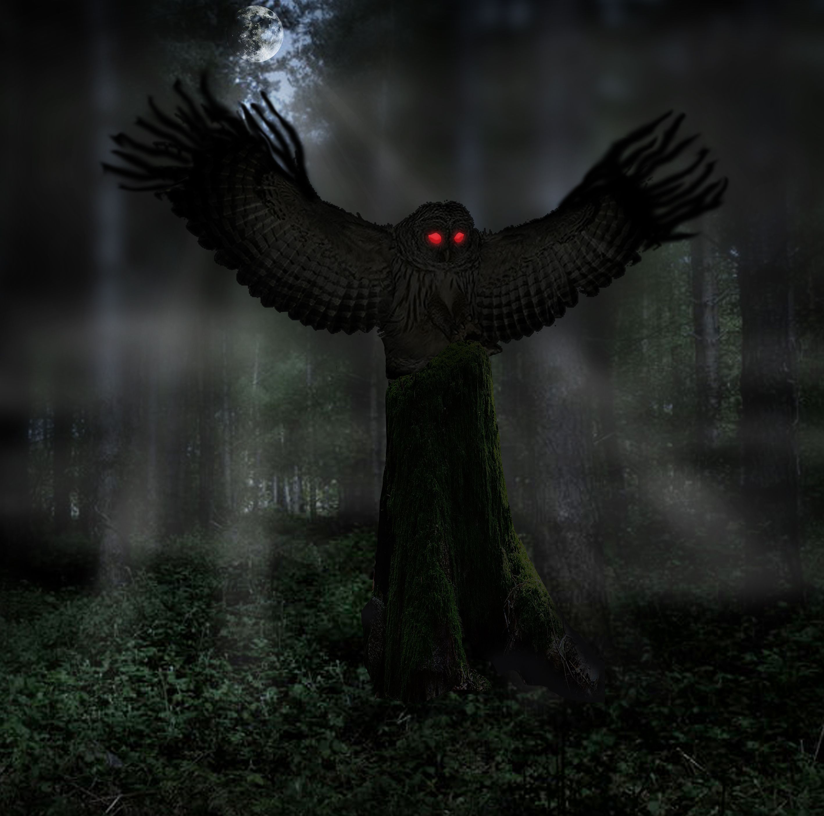 Mothman Wallpapers - Wallpaper Cave