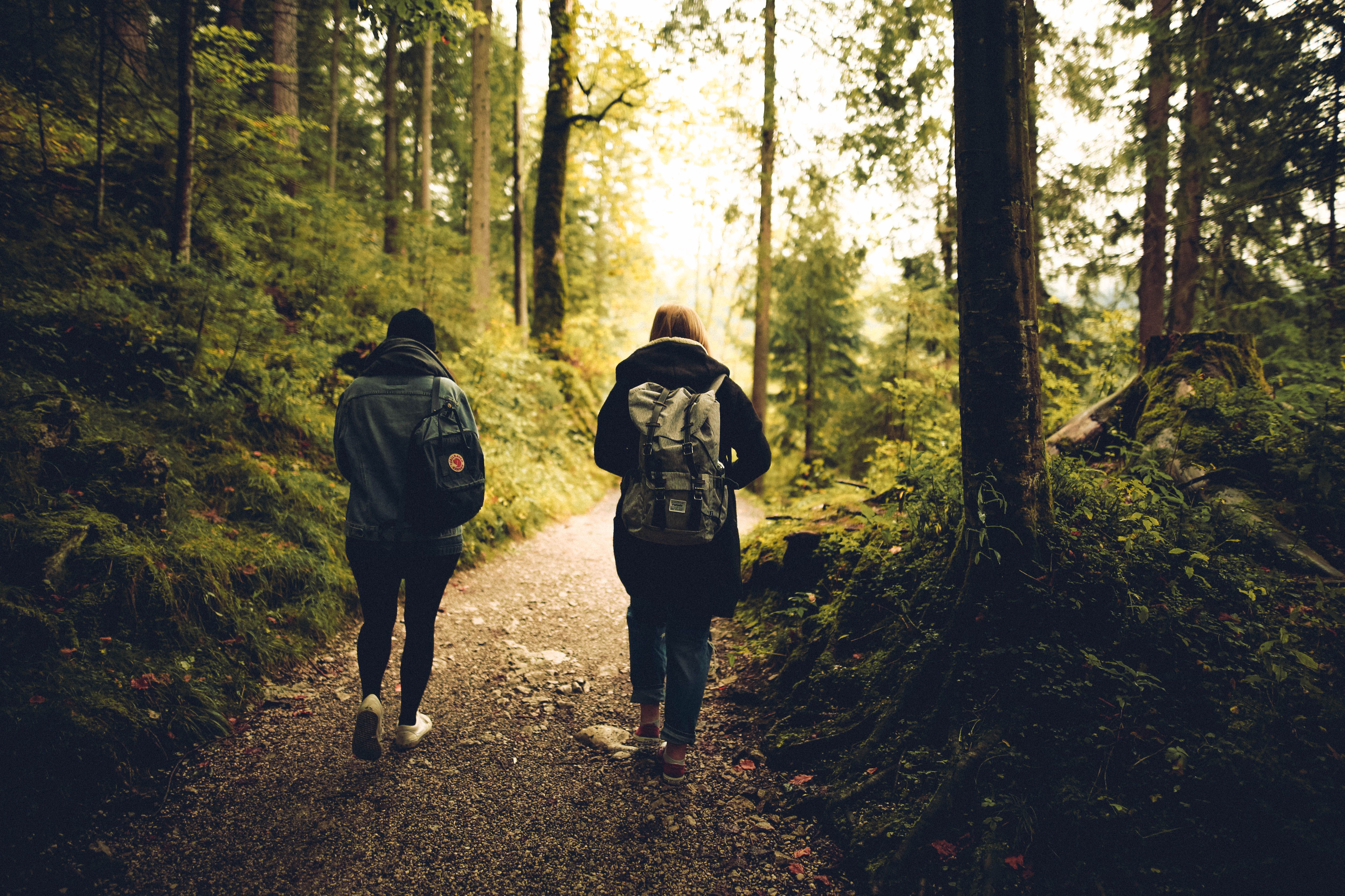 Two People Walking in the Forest · Free