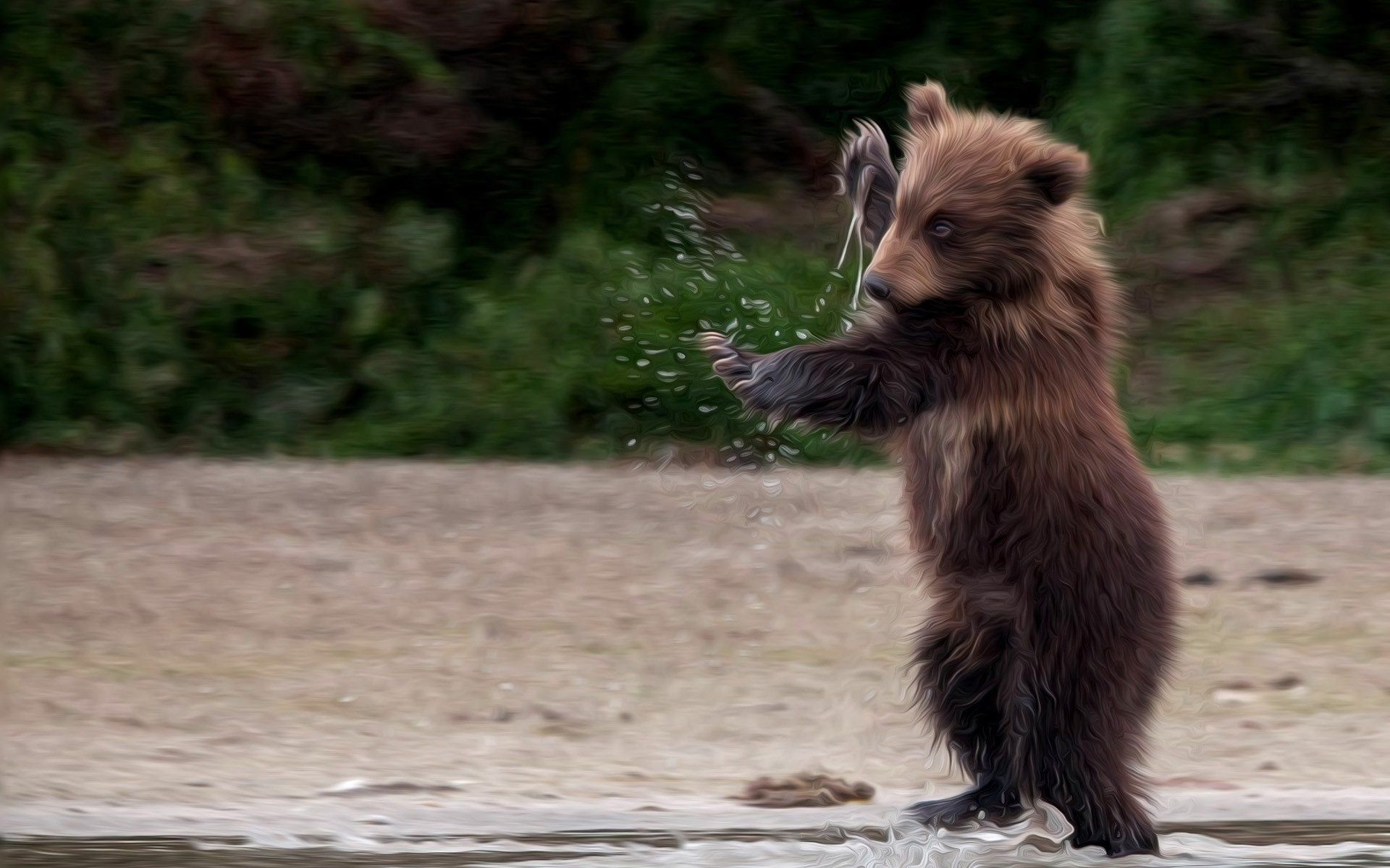 Kung Fu Bear Cub