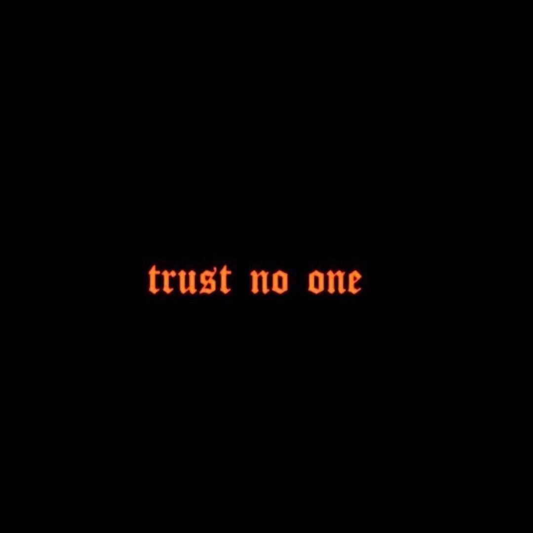 Dm me for paid promotion. on Instagram: “Q;Do you have trust issues?”. Quote aesthetic, Mood quotes, Words