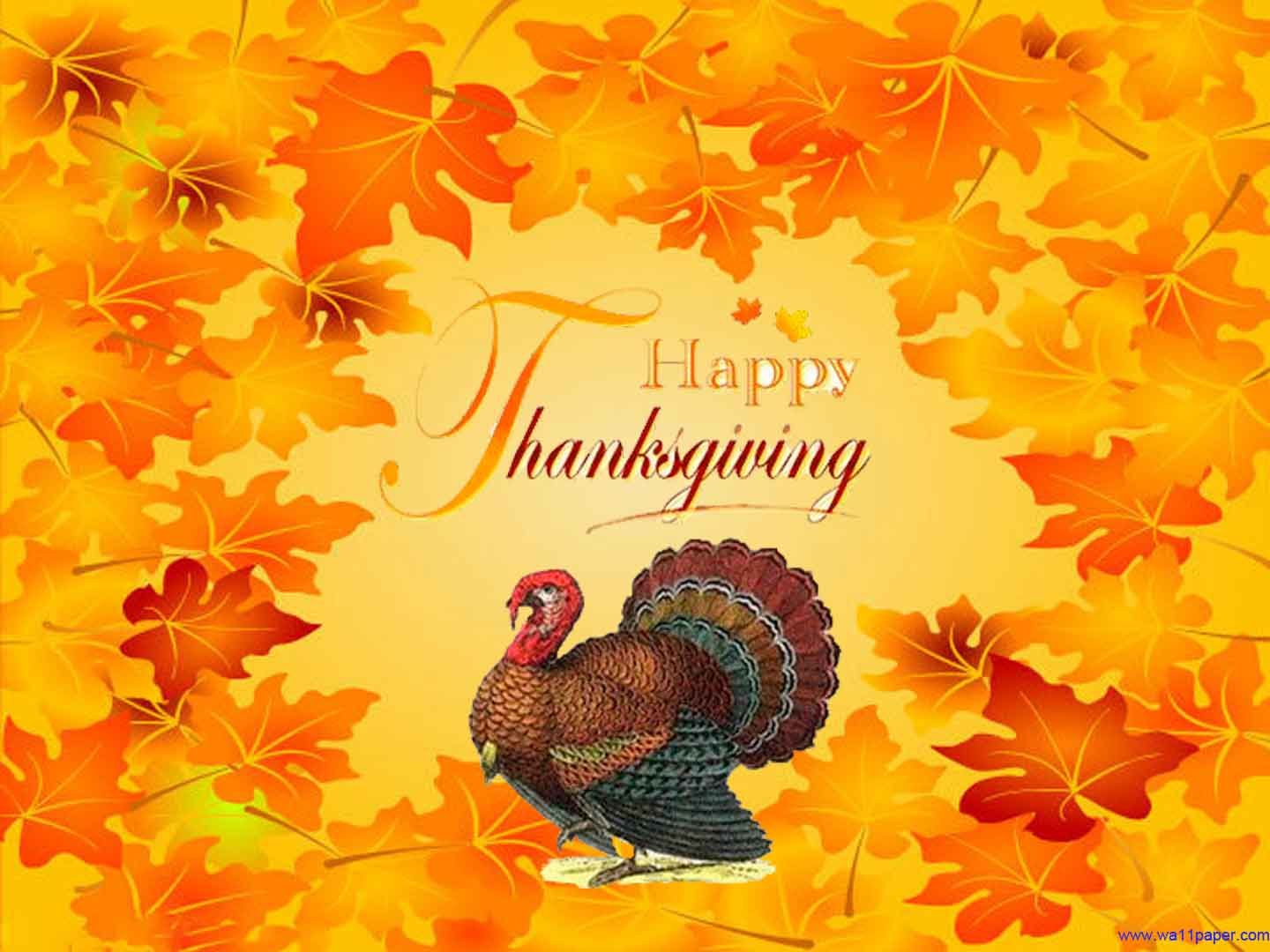 Hd Wallpaper Happy Thanksgiving Turkey Wallpaper 1440×1080. Happy Thanksgiving Turkey, Thanksgiving Turkey, Happy Thanksgiving