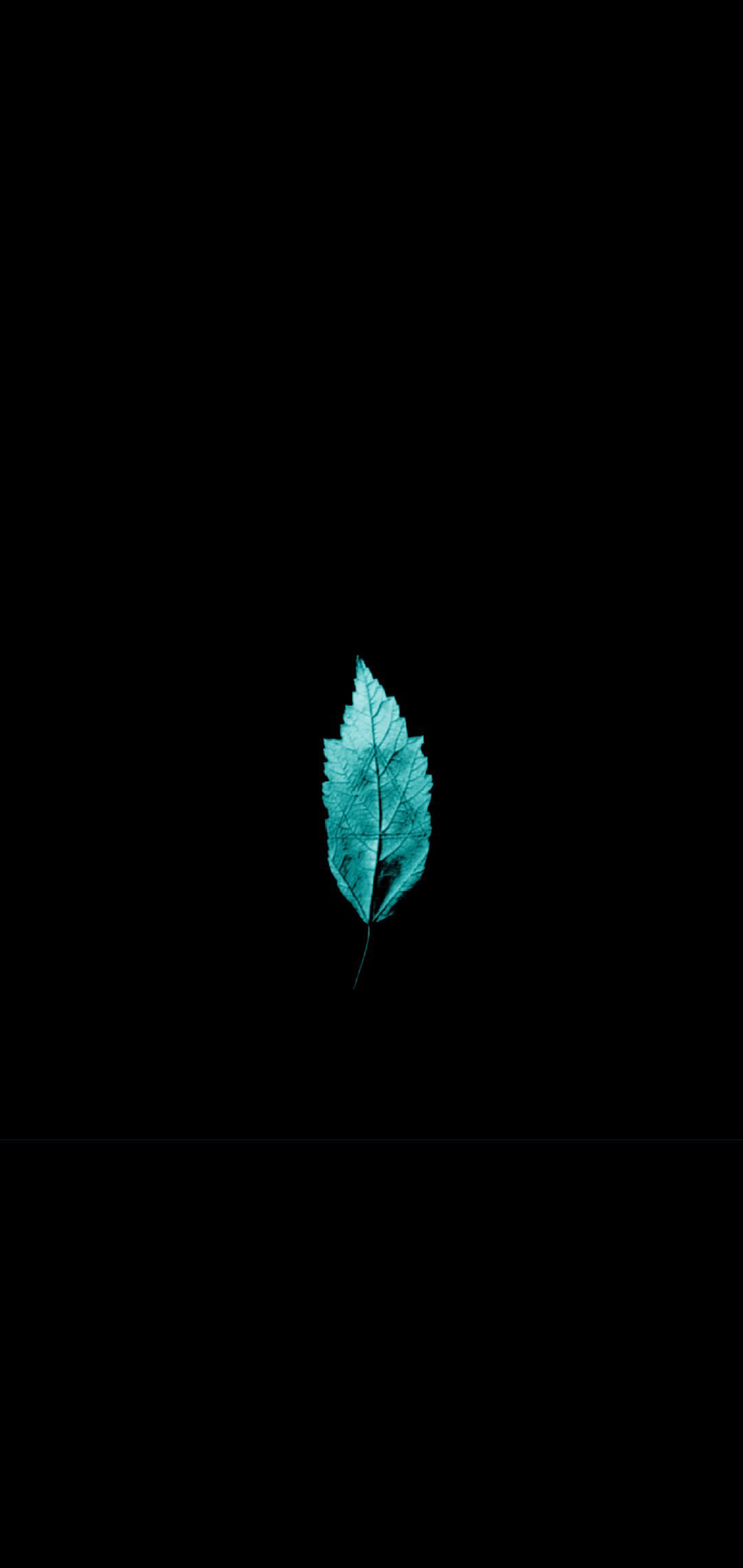 Fringe leaf (1080x2280)