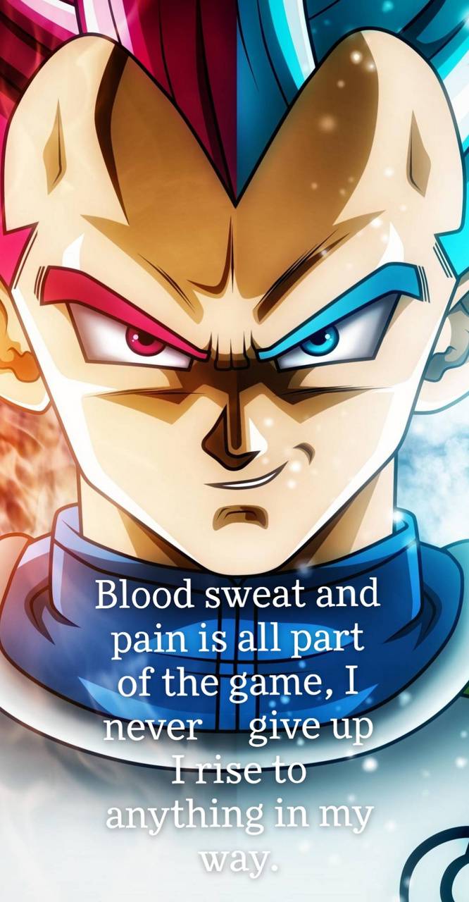 Dragon Ball Quotes Wallpapers - Wallpaper Cave