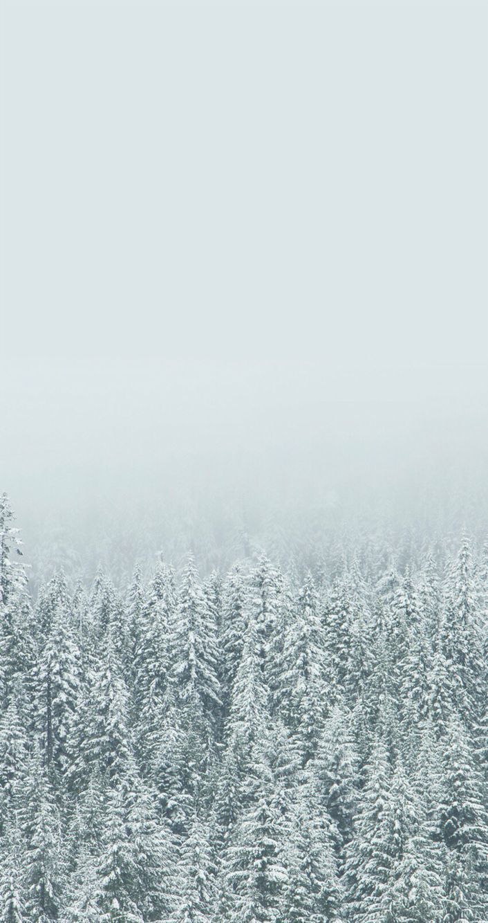 Winter Aesthetic Wallpaper