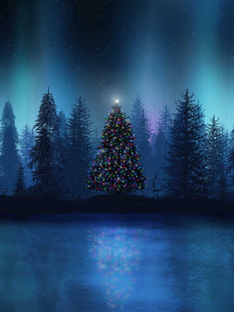 Christmas Night Woodland Wallpapers - Wallpaper Cave