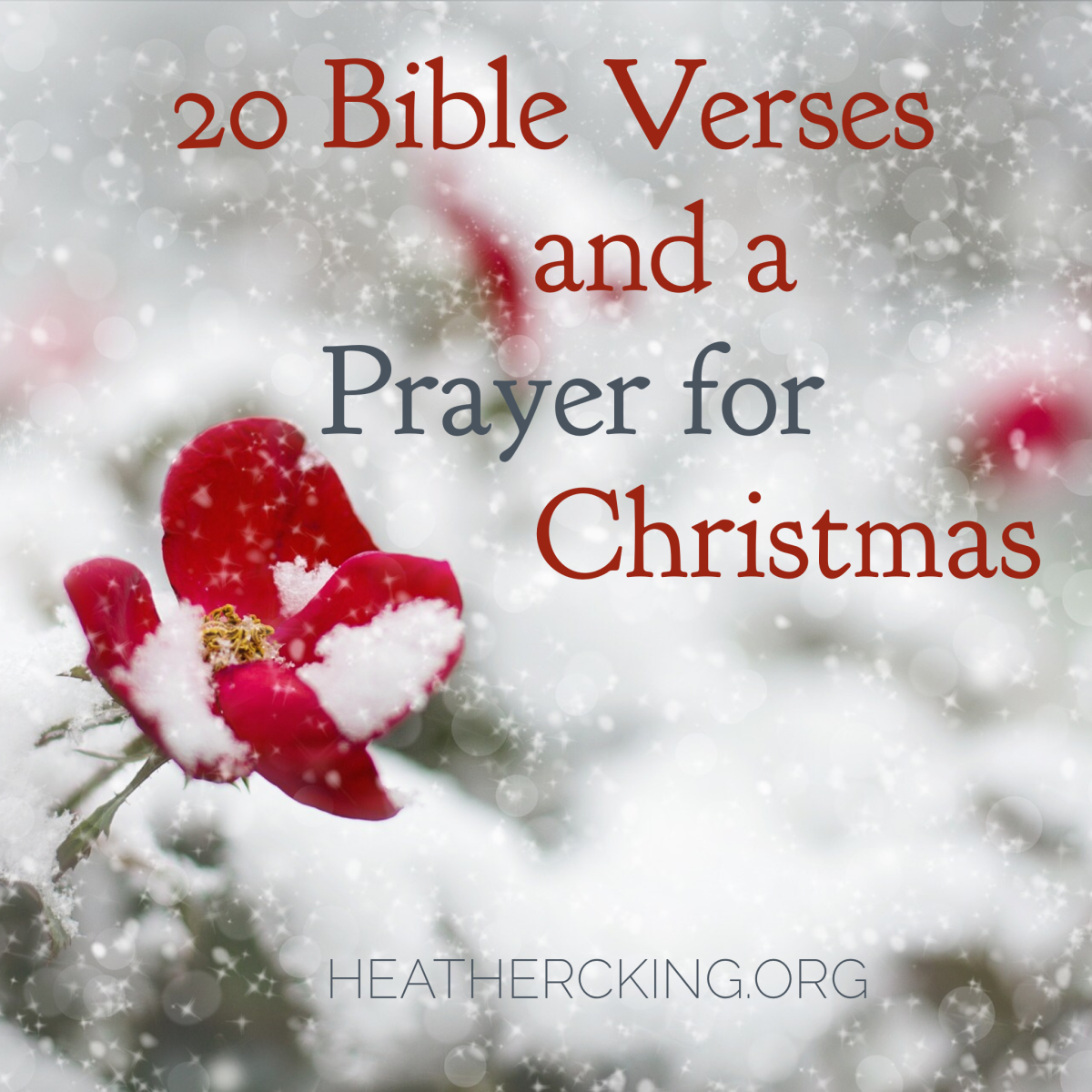 Bible Verses and a Prayer for Christmas