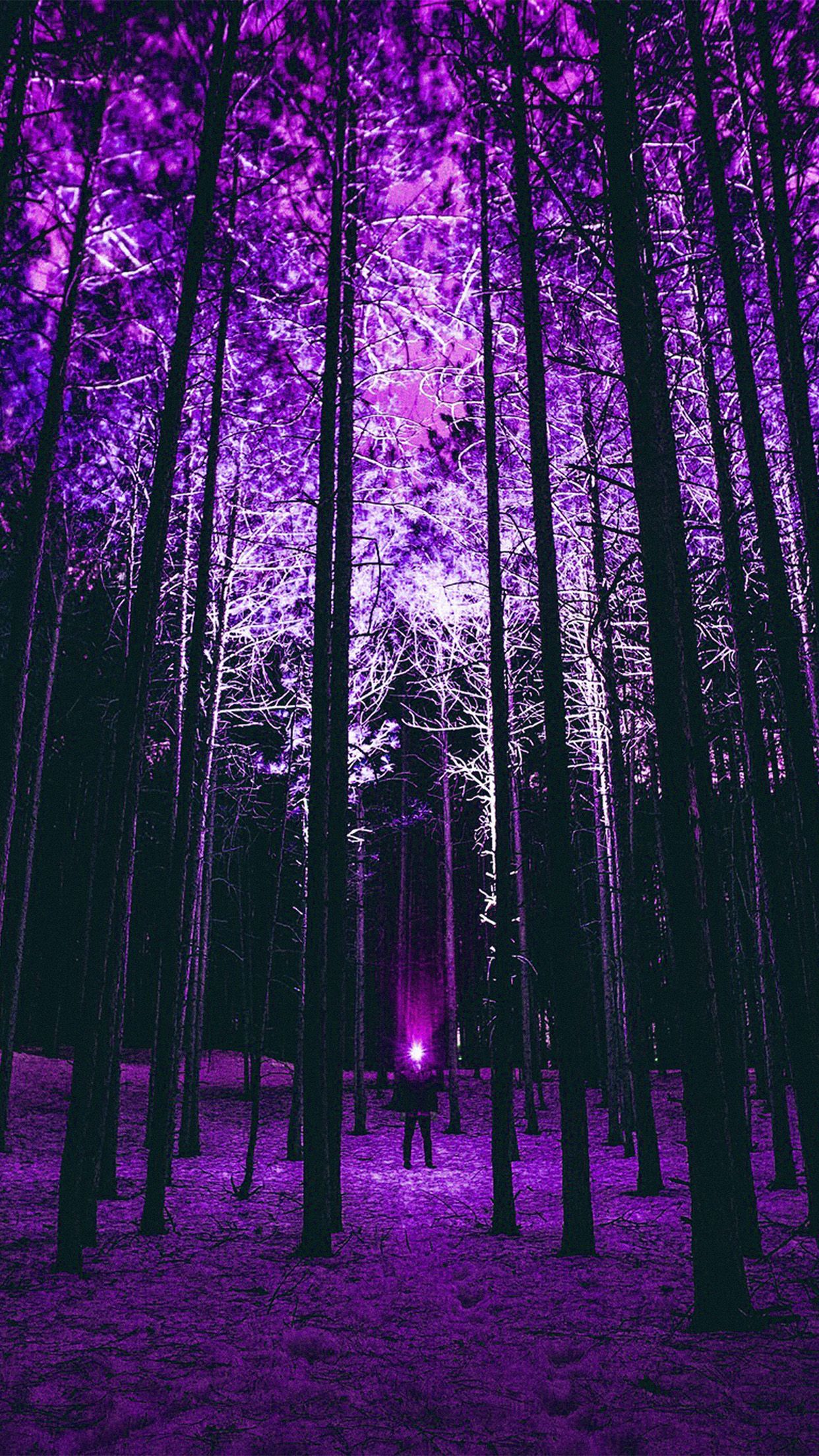 Wood Mountain Nature Purple Night Wallpaper