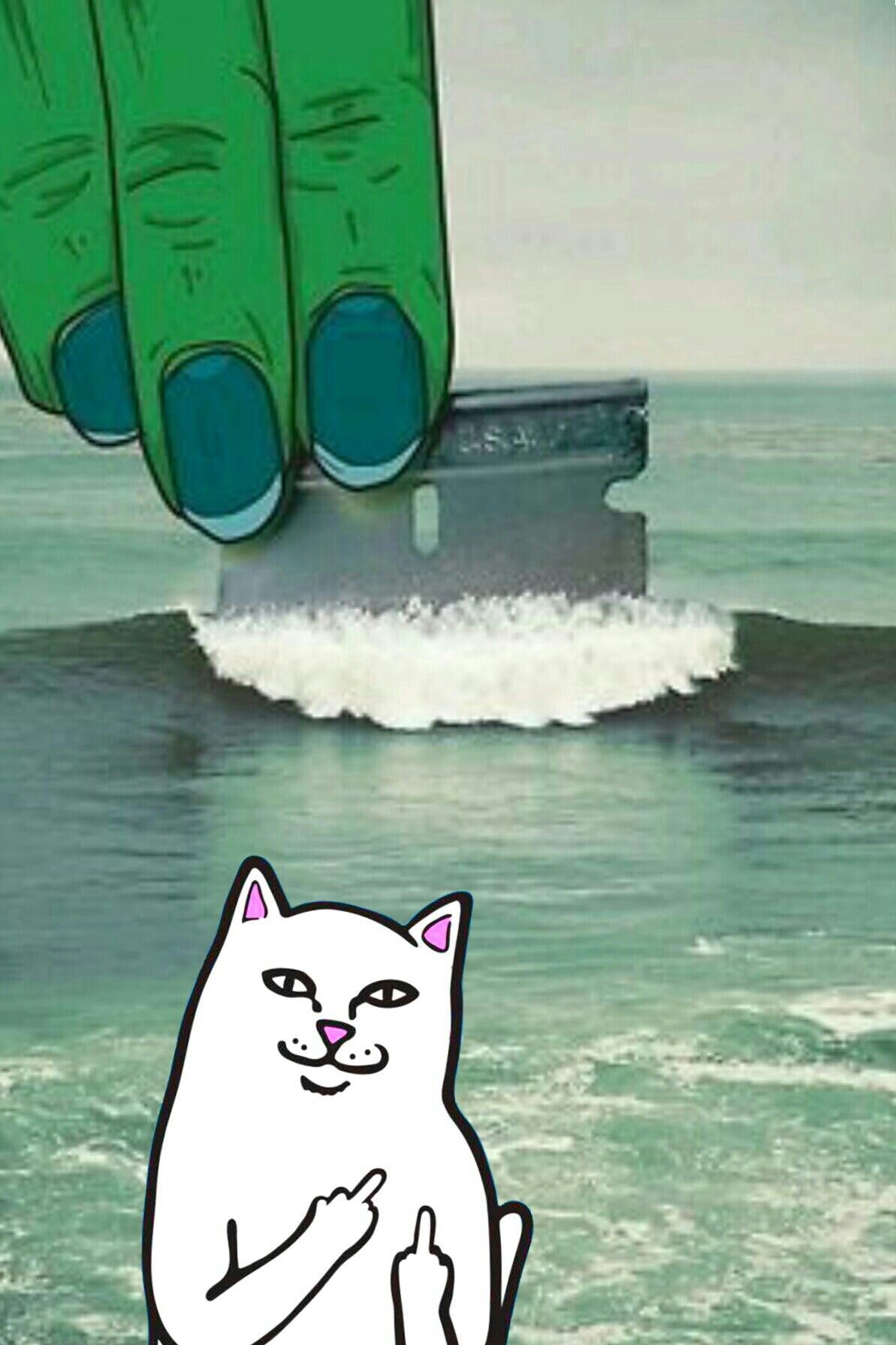 Ripndip