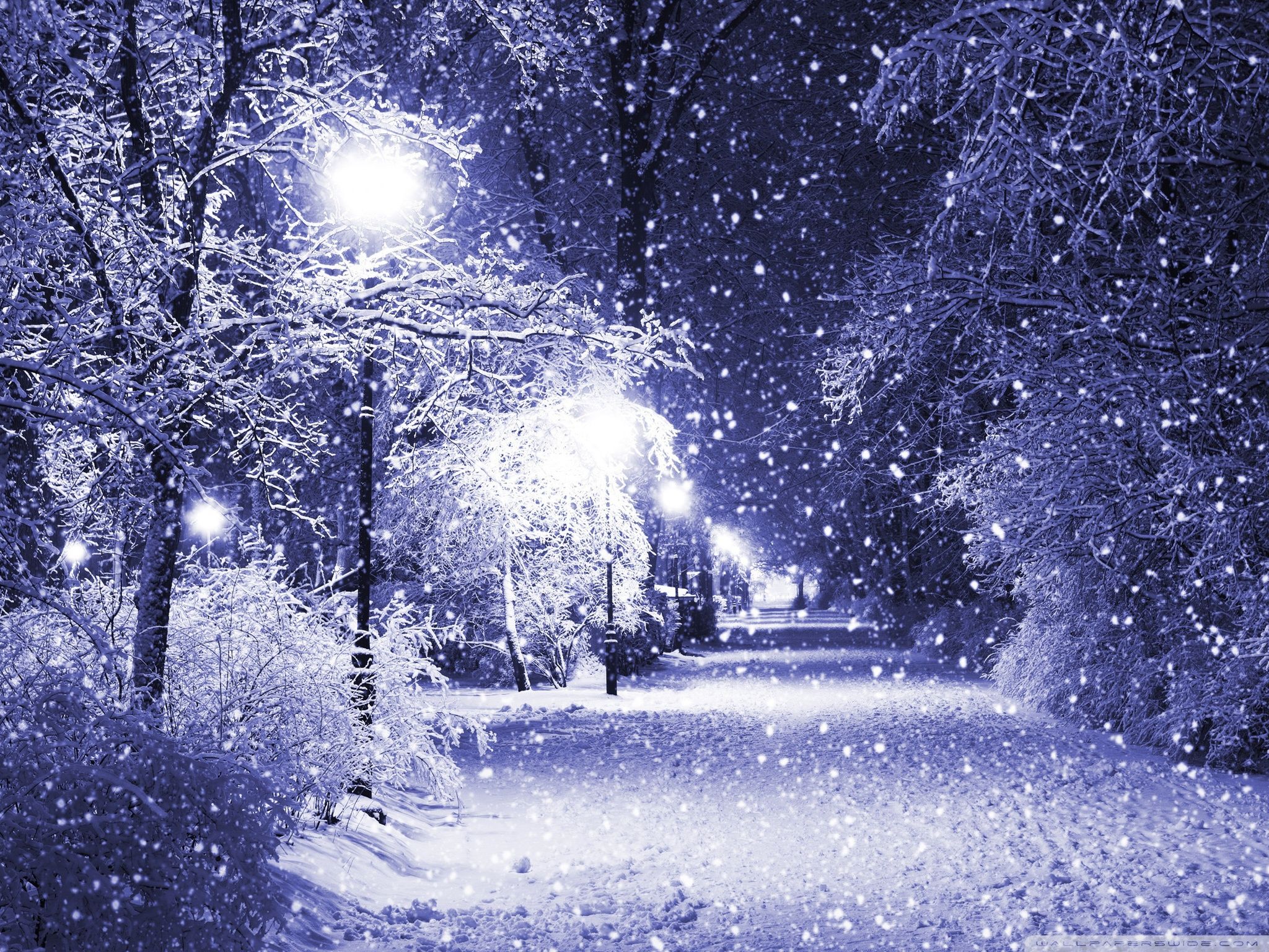 Winter Night Ultra HD Desktop Background Wallpaper for: Multi Display, Dual Monitor, Tablet