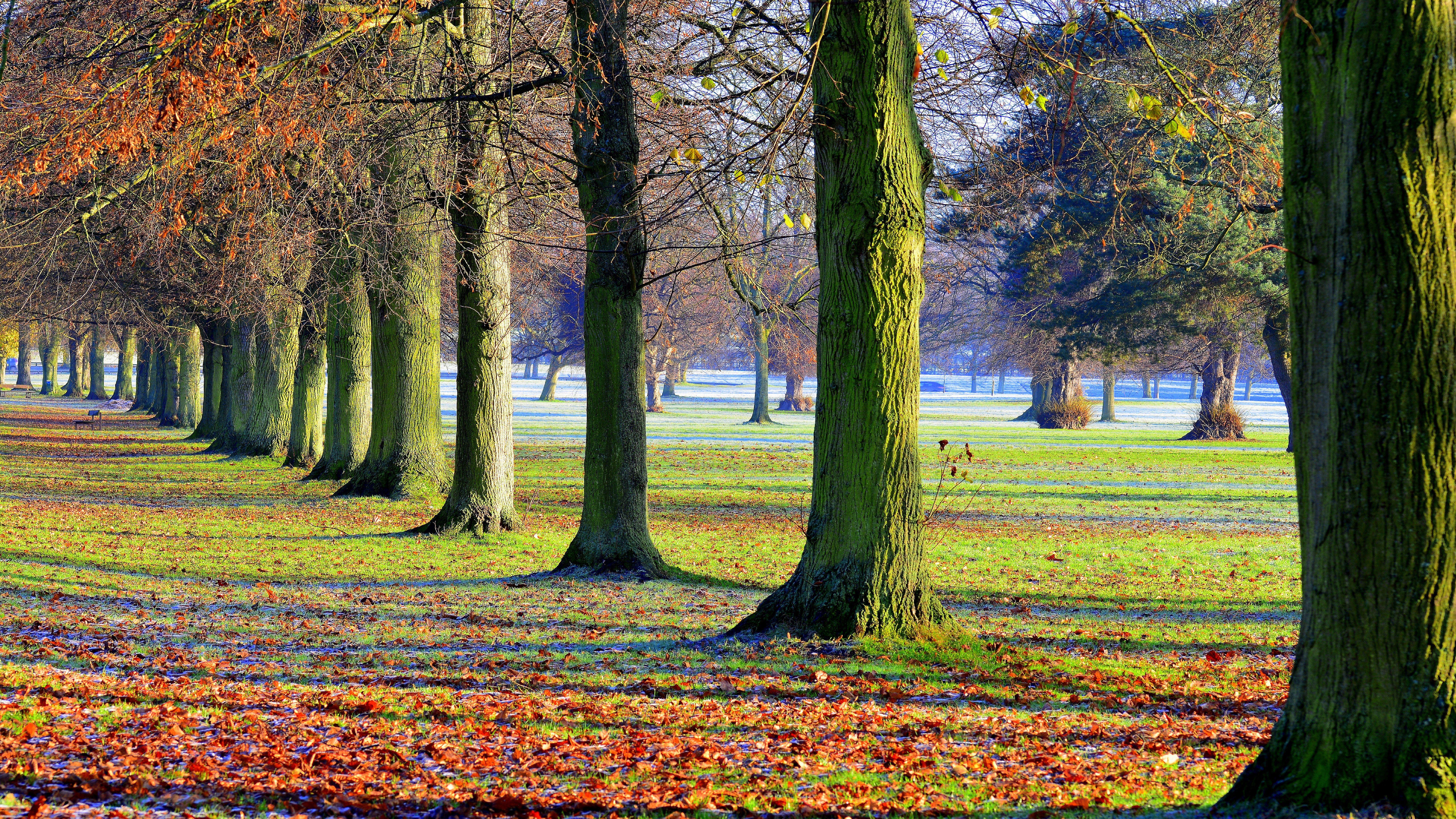 8K Ultra HD Nature Wallpaper