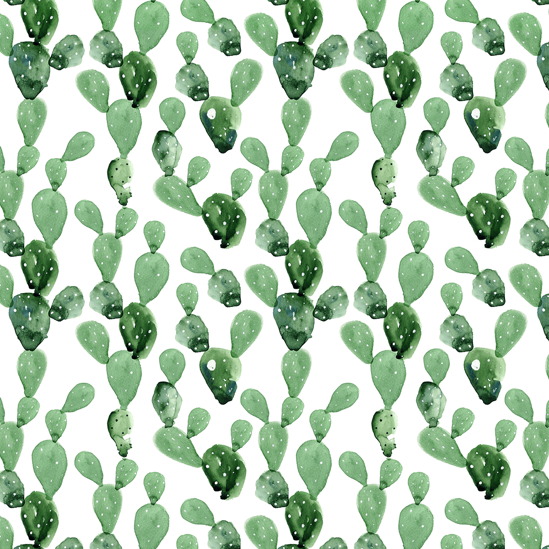 Watercolor Cactus Wallpaper Mural. Cactus Wallpaper Nursery