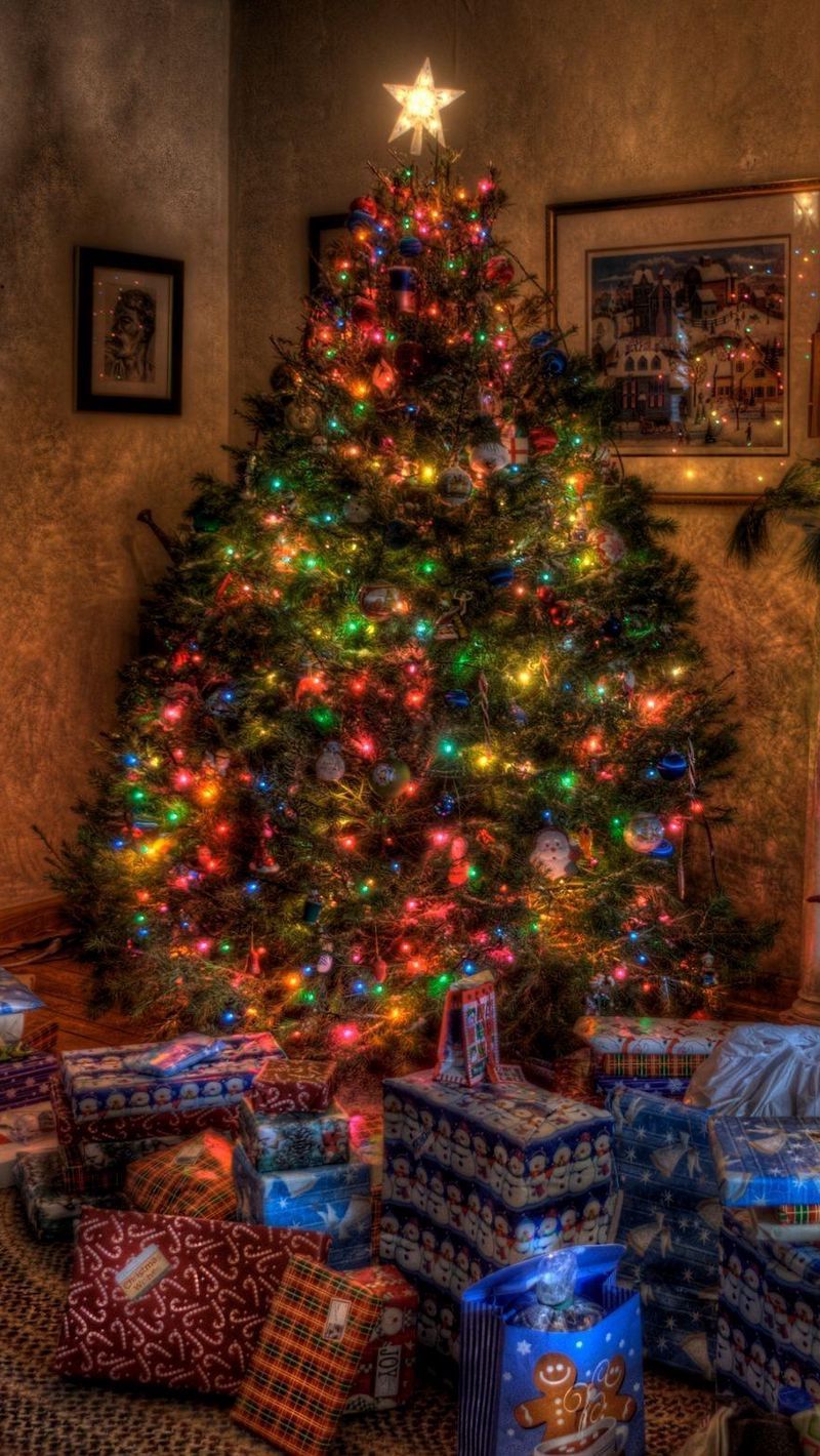 Download Wallpaper 800x1420 Tree, Christmas, Presents, Fireplace, Holiday, Toys, Stockings, Home, Comfort Iphone Se 5s 5c 5 For Parallax HD Background