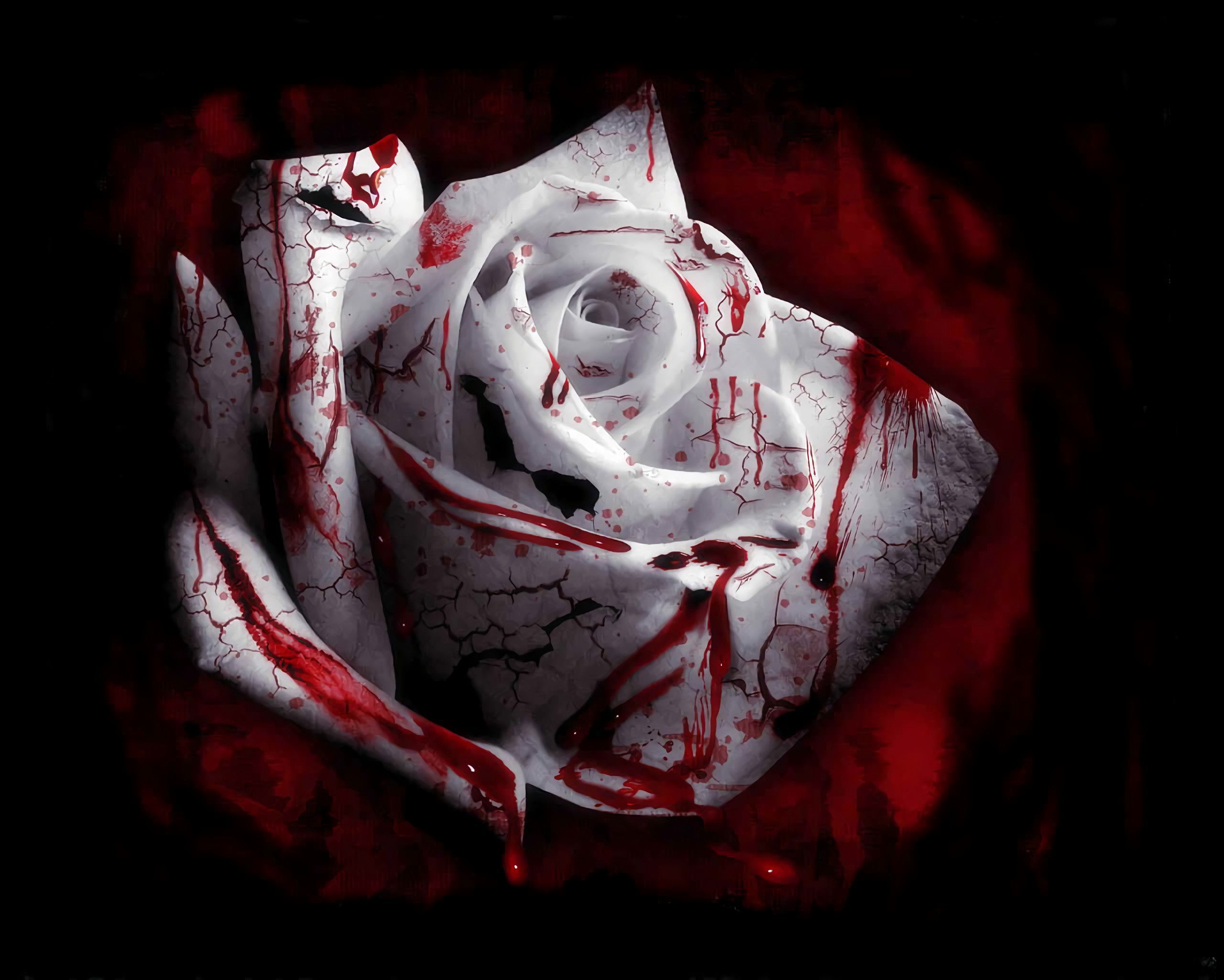 Bloody Roses Wallpaper Free Bloody Roses Background