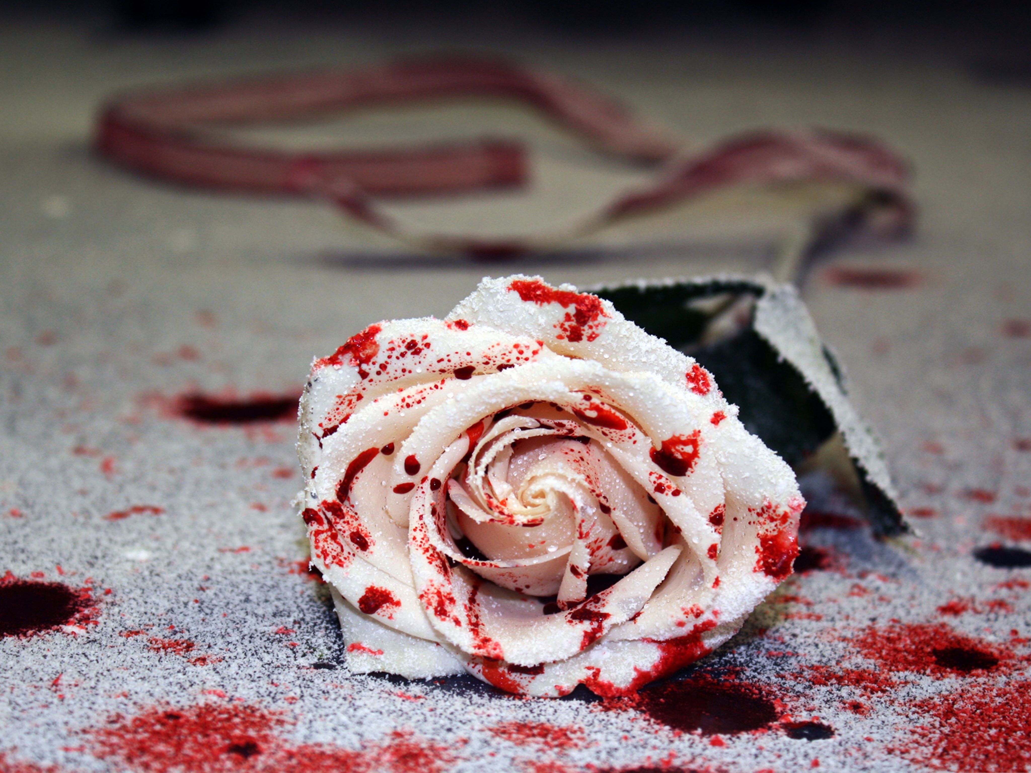 bloody white rose