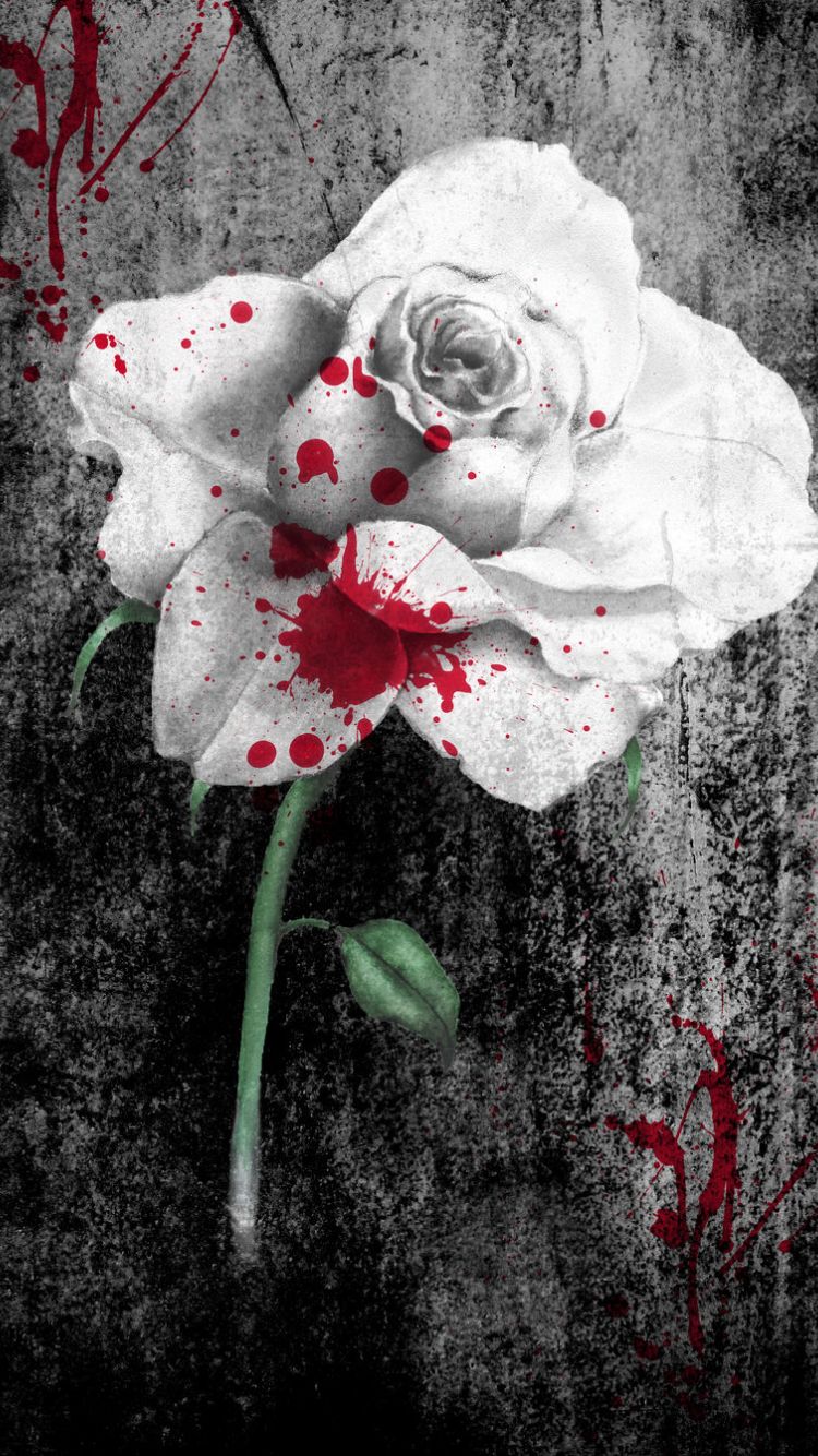 Free download Bloody White Rose Wallpaper Bloody rose by georgia caldera [900x1340] for your Desktop, Mobile & Tablet. Explore Bloody Rose Wallpaper. Blood Background Wallpaper, Blood Spatter Wallpaper, Blood Bath Wallpaper