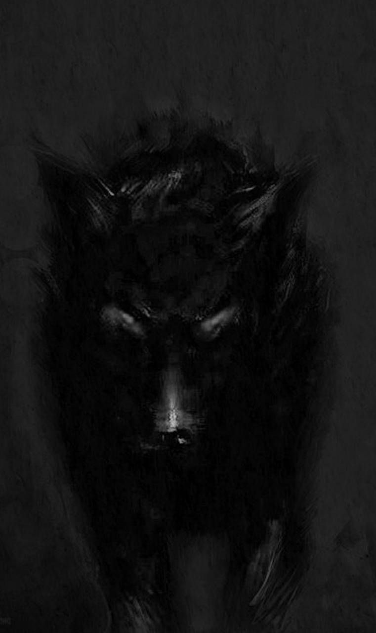 Shadow Wolf Wallpaper