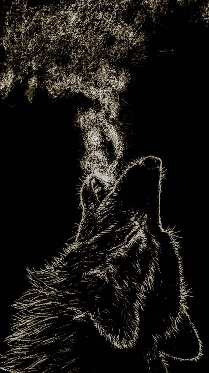 Shadow Wolf wallpaper