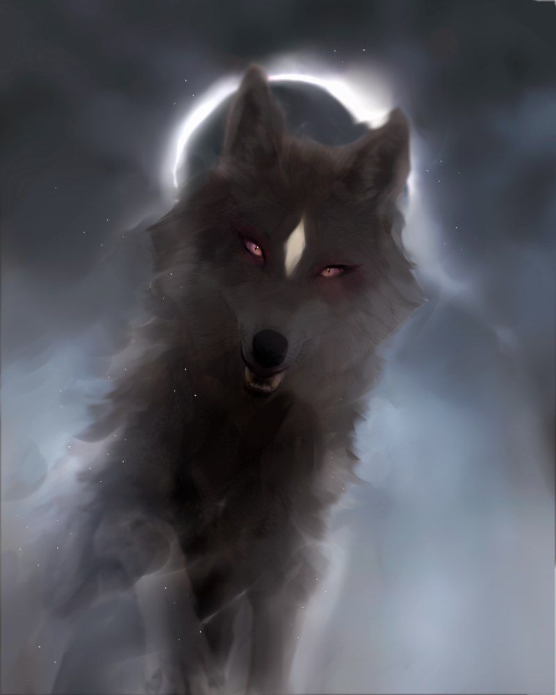Fang concept. Shadow wolf, Wolf art, Wolf spirit animal