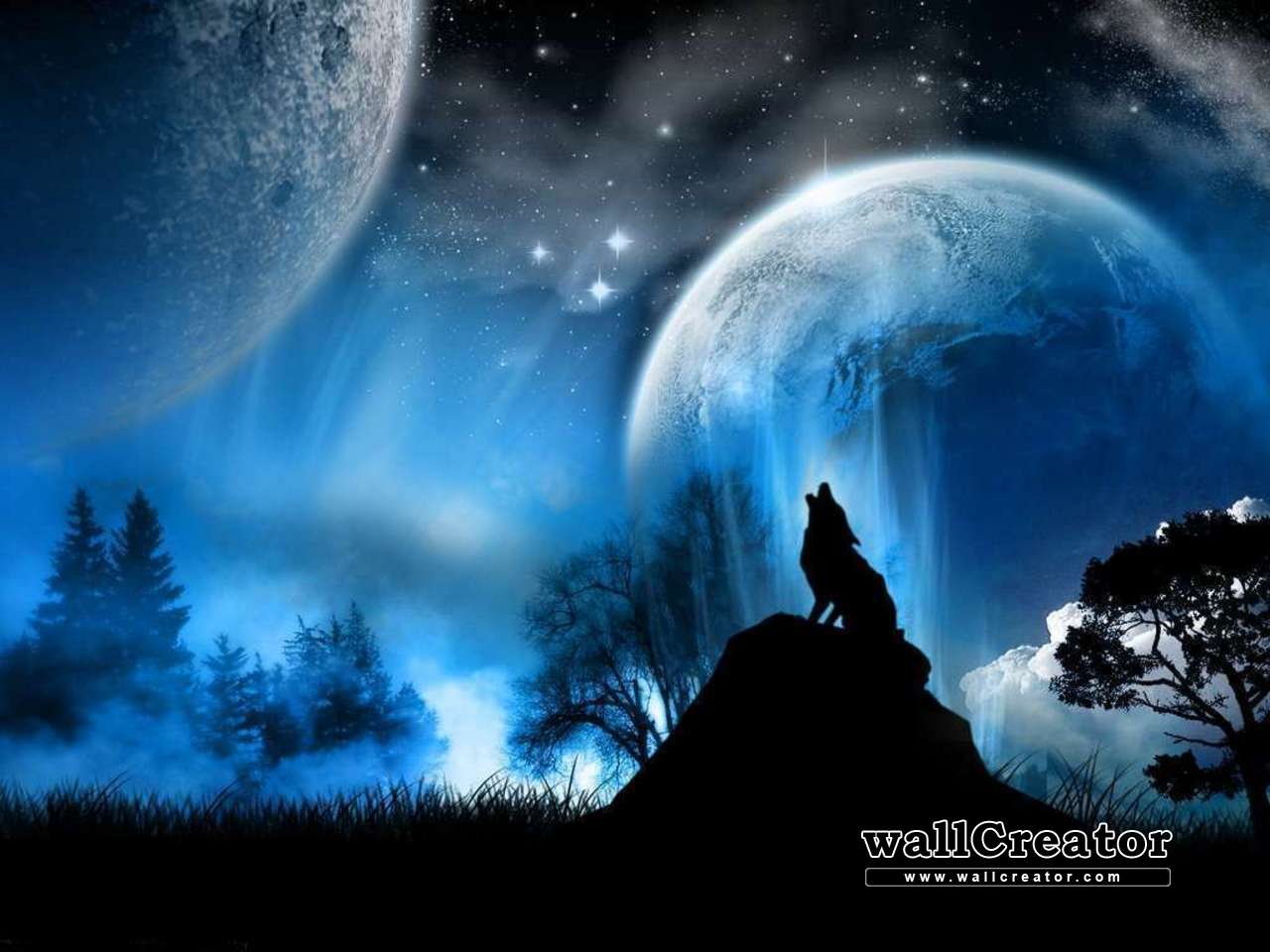 Free download Lone Wolf 1280 1024 Wallpaper [1280x960] for your Desktop, Mobile & Tablet. Explore Lone Wolf Wallpaper. Gray Wolf Wallpaper HD, HD Wolf Wallpaper 1080p, HD Wallpaper Wolf