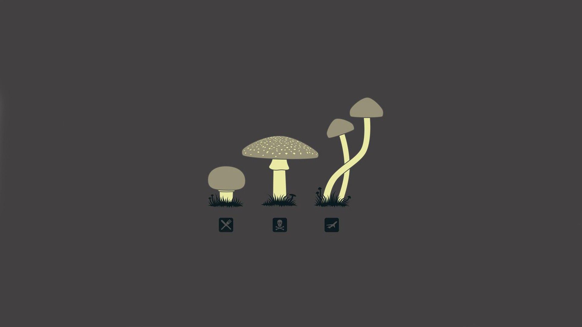 mushroom, Drugs, Minimalism Wallpaper HD / Desktop and Mobile Background
